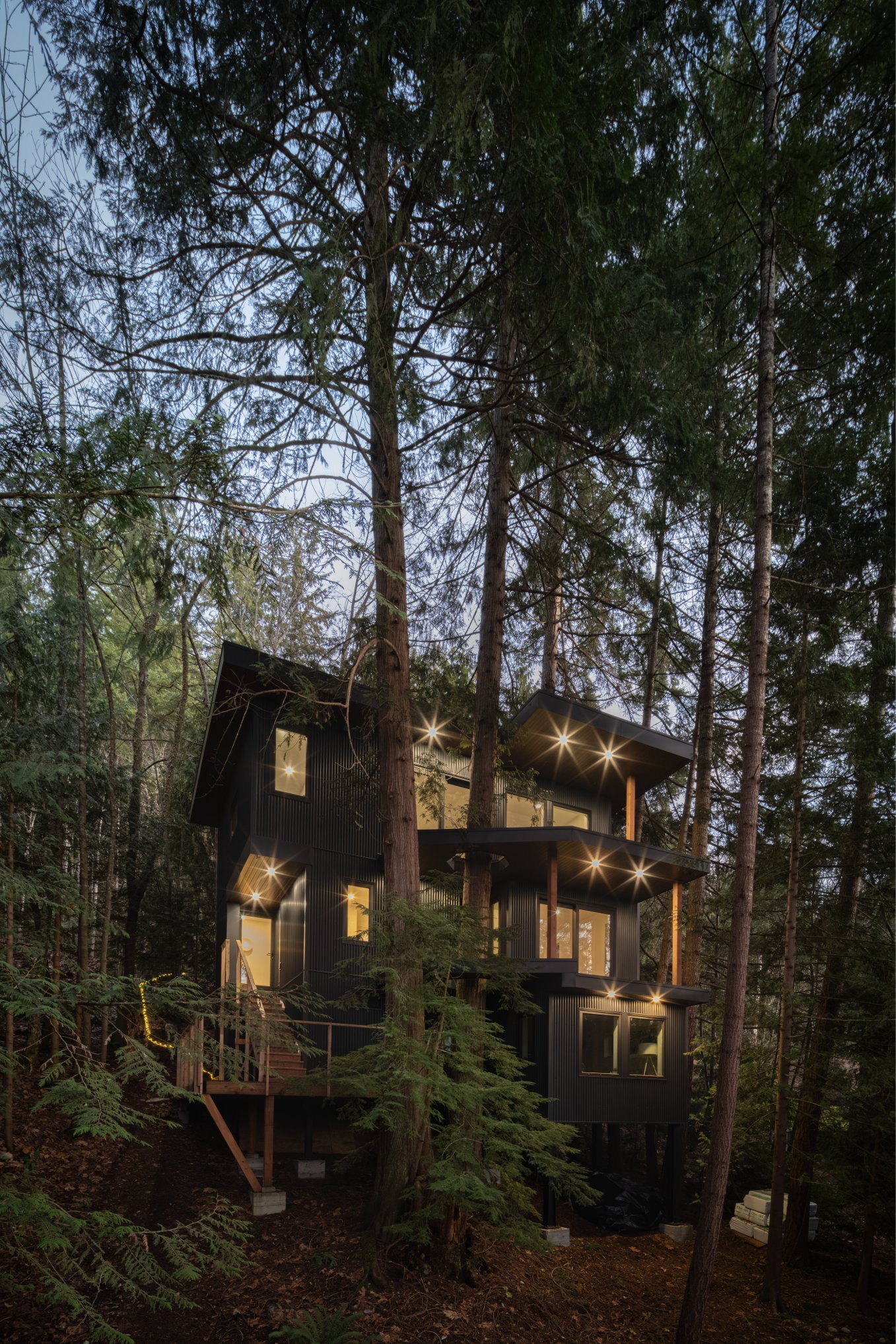 KRJ.Photos.Lincoln.Treehouse-19-Copy1.jpg