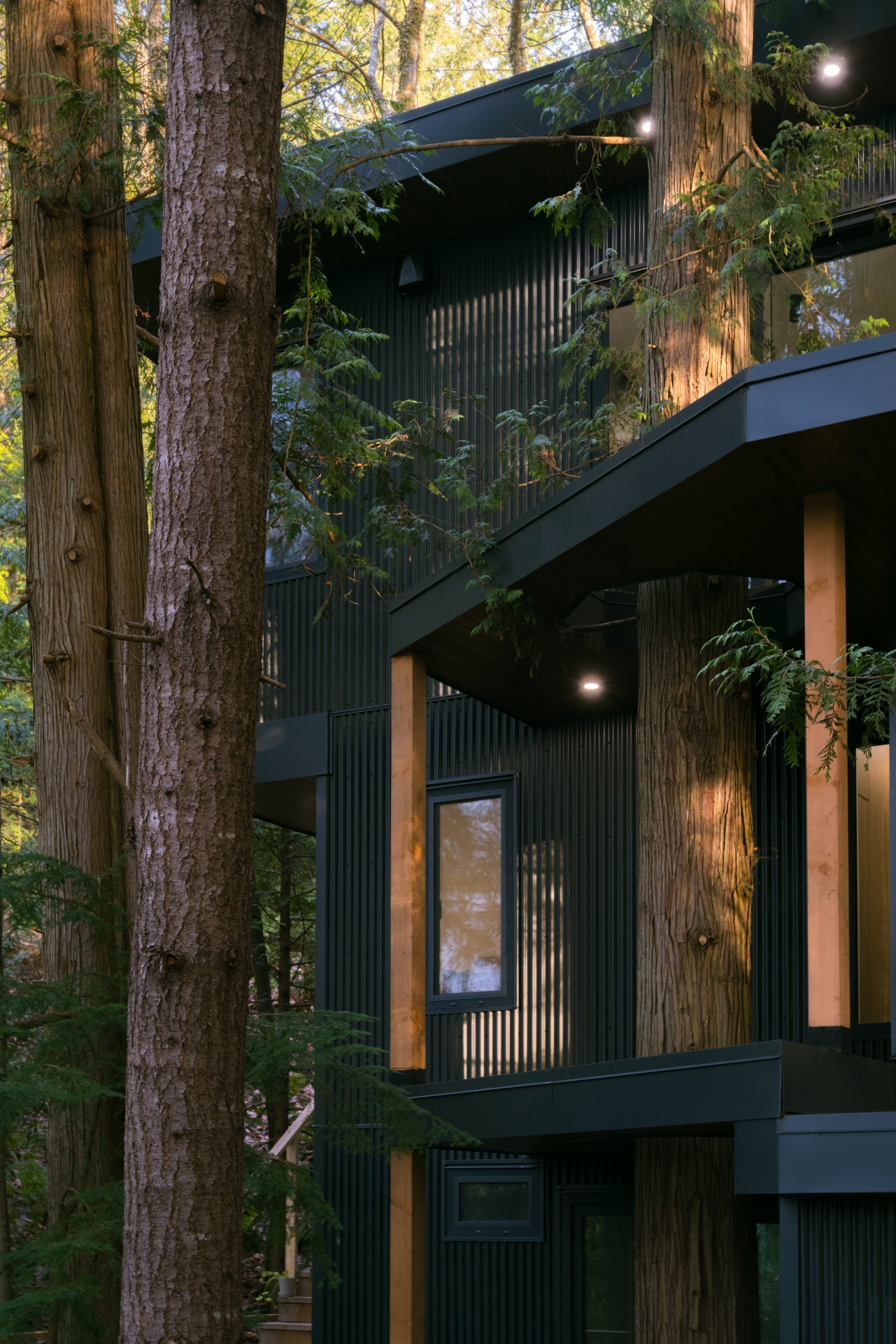 KRJ.Photos.Lincoln.Treehouse-10.jpg