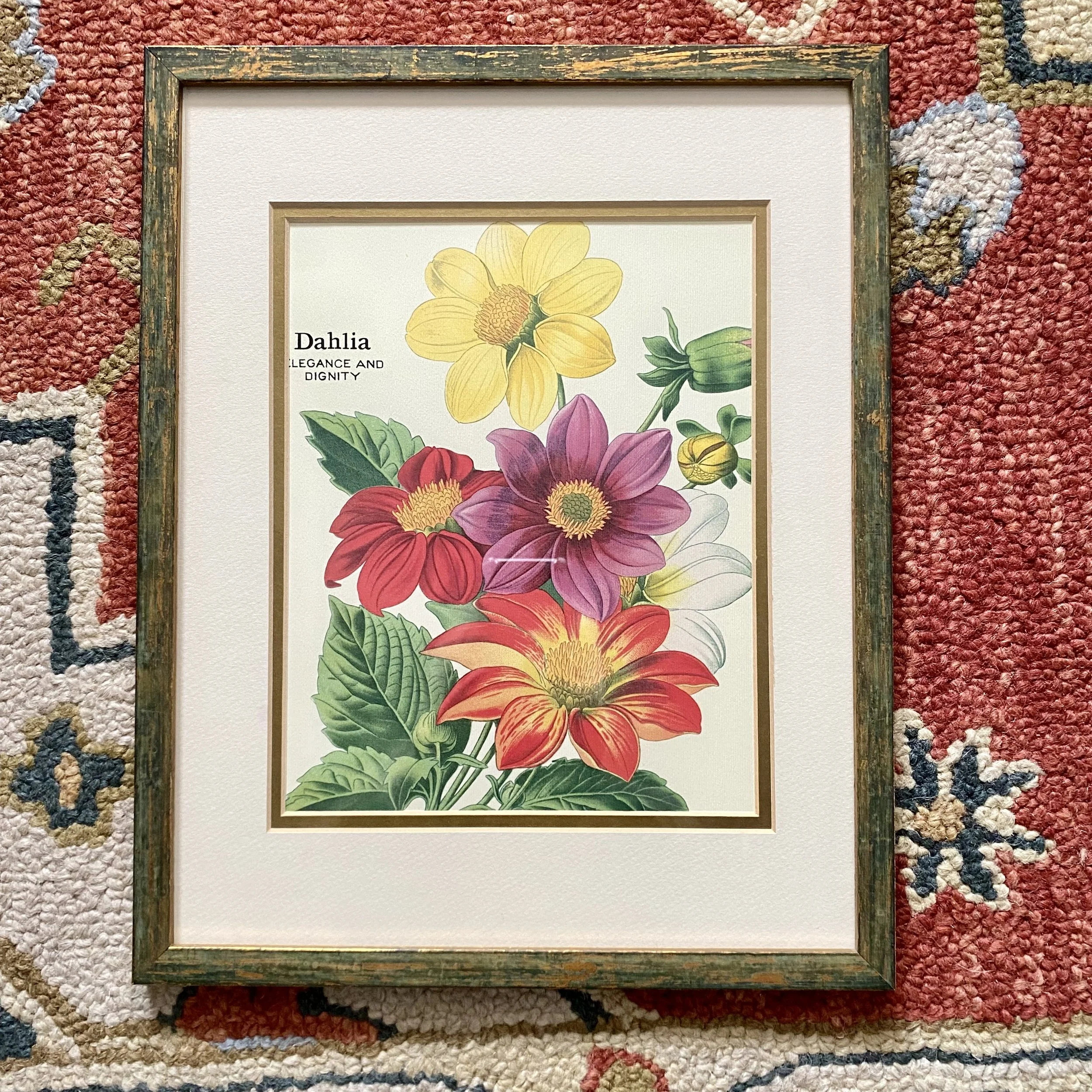 Dahlia Elegance Framed Art Print