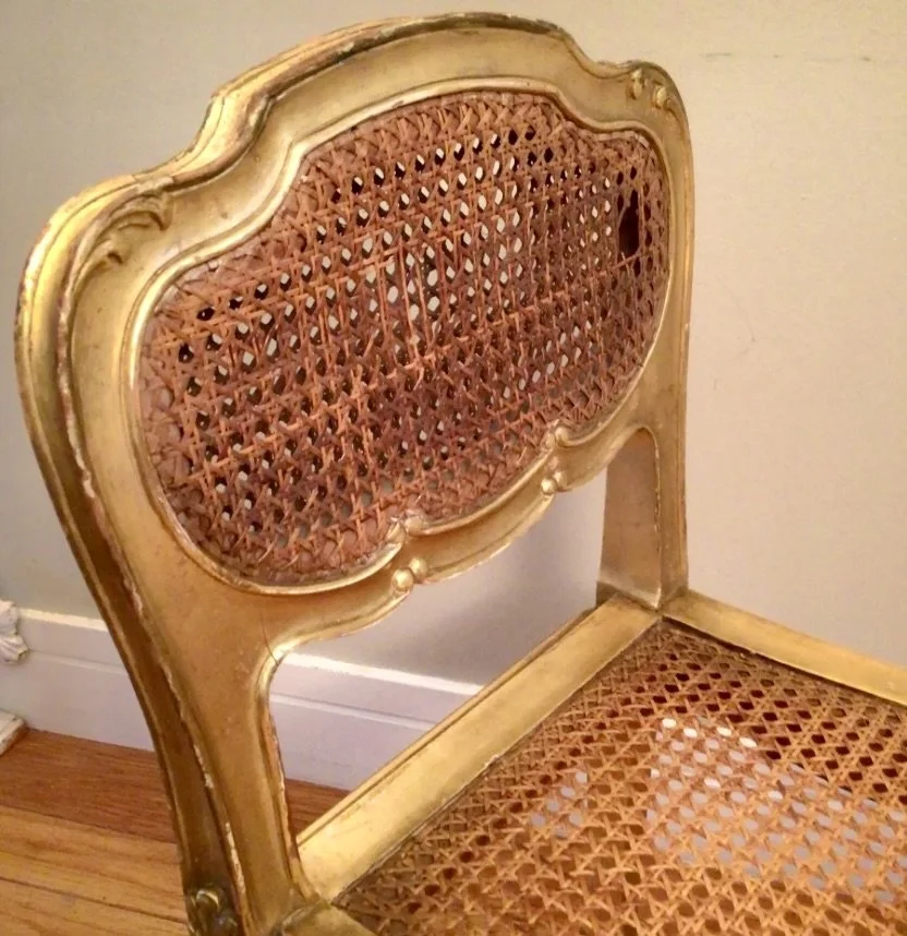 Image 3-15-26 at 11.33 AM.jpeg