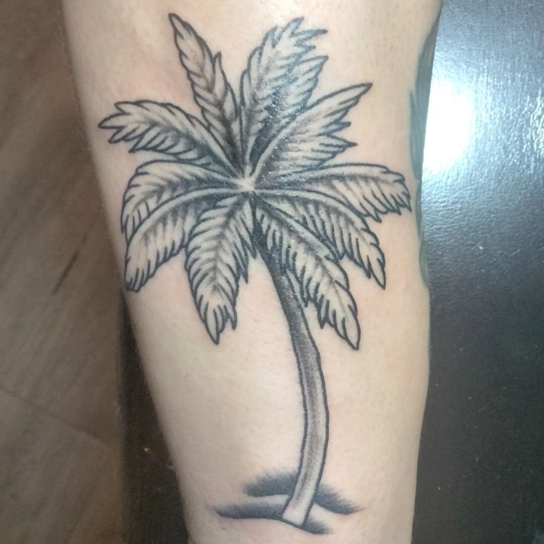 Tattooed this palm tree yesterday