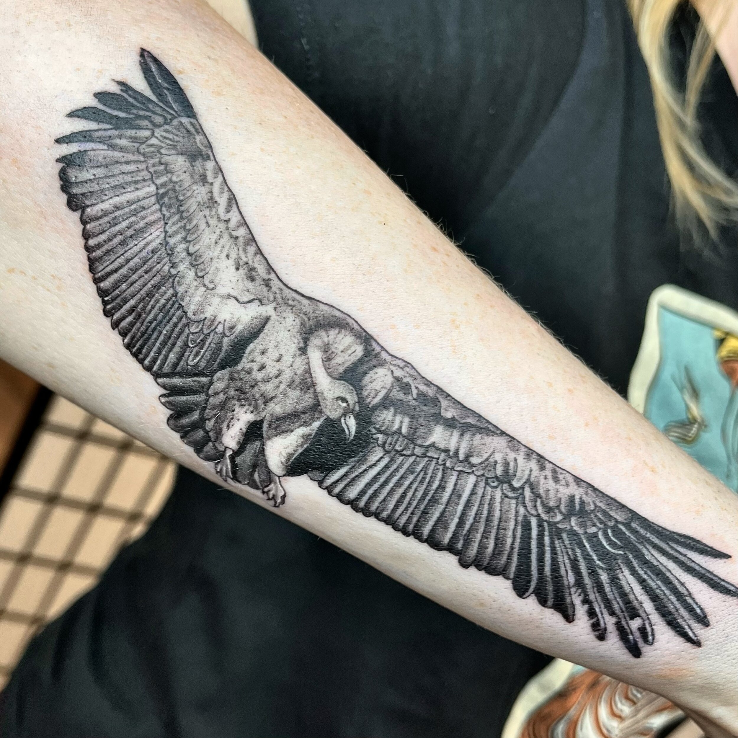 Vulture for Carolyn! Had lots of fun with this one :) Thank you for sitting so strong 😎🪶🪹
&bull;
Appointments can be booked on DM!
&bull;
&bull;
&bull;
&bull;
&bull;
&bull;
&bull;
&bull;
&bull;
#milwaukee #milwaukeetattoo #chicagotattooartist #tat