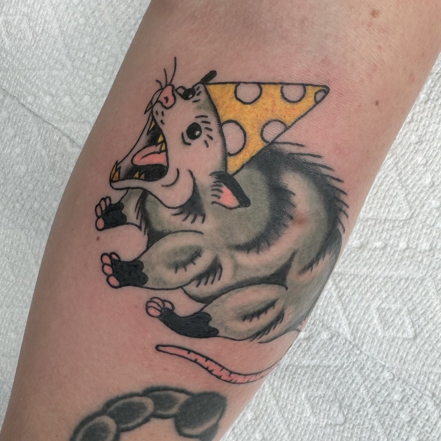 Party possum for Mel! 
Always fun to do cute little critters! 
.
.
.
#possums #possumtattoo #traditional #colortattoo #milwaukeetattoo #wisconsintattooartist #milwaukee #wisconsin
