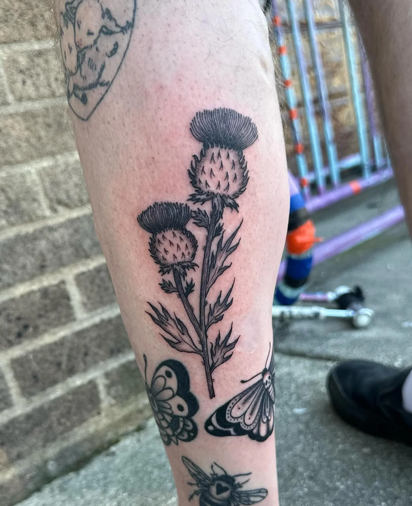 Thistles for Corey from a bit ago, along with a death moth and some more healed buggies!! thank uuu c: