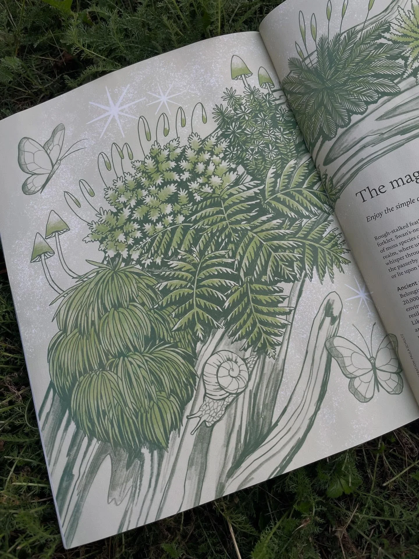 Got something cool in the mail. My printed moss illustration for @justbreathemagazine AD: Jonathan Grogan
.
.
.
#illustration #illustrator #natureillustration #freelanceillustrator #editorialillustration #printdesigner #moss #natureart #publicationde