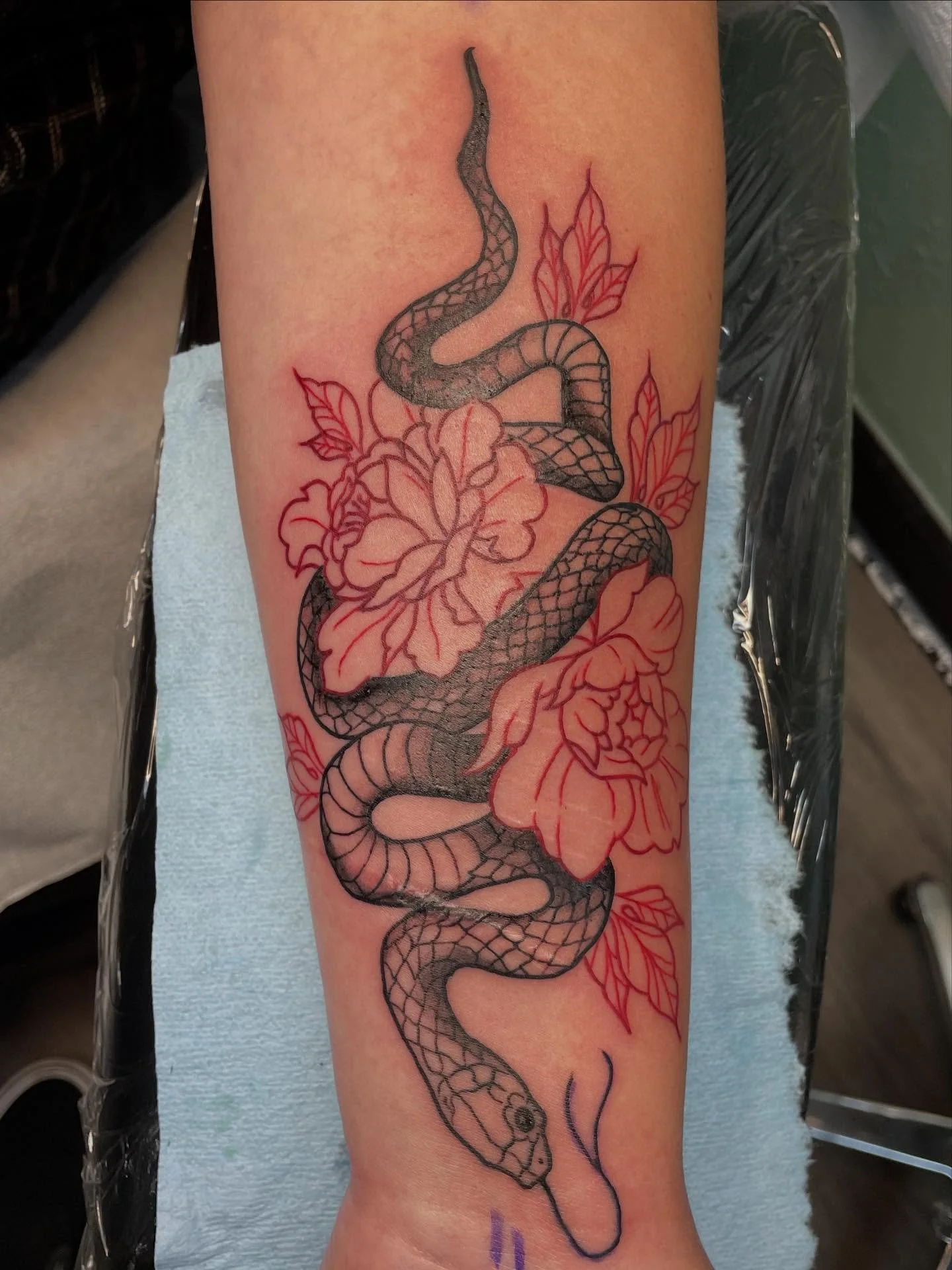 Bunch of stuff I love n stuff