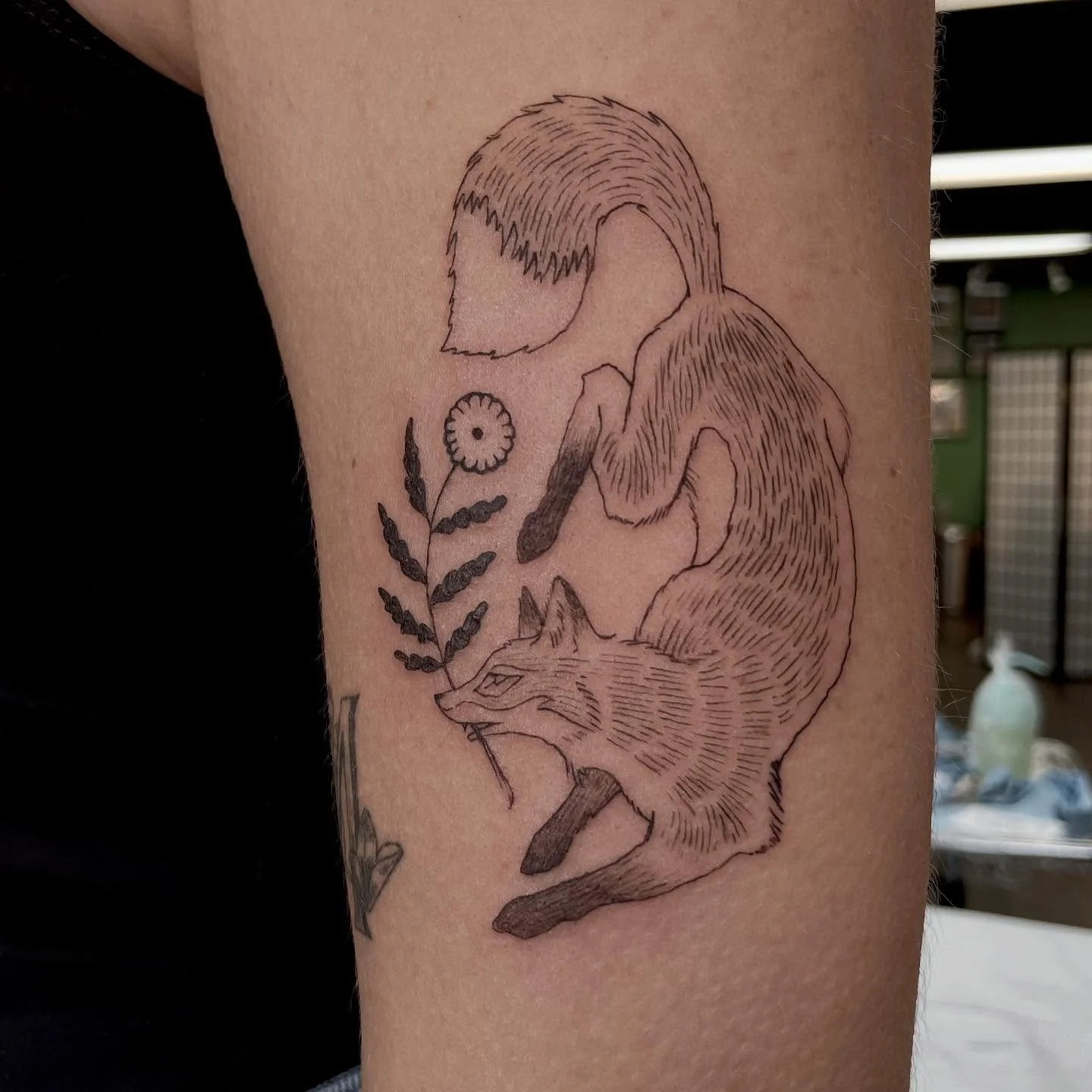 a folky fox tattoo for Leah! ✨💖 and next to a healed one i did a year ago. both custom designs from ideas she gave me 🙏
.
.
.
.
.
#fox #foxtattoo #foxillustration #foxdesign #fineline #midwesttattoo #finelinetattoos #milwaukeetattoo #wisconsintatto
