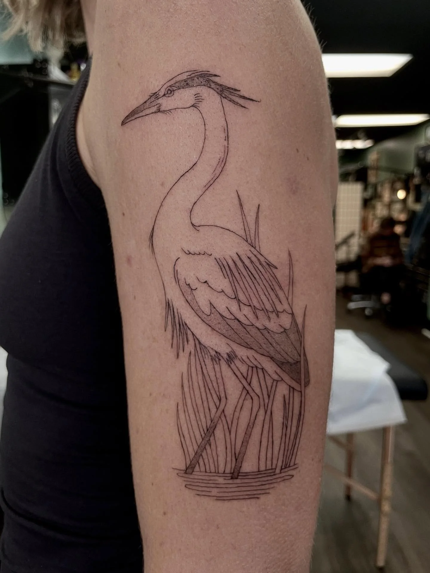 a heron for Christine! love this size and placement. always down for designing and tattooing plants and animals 😊💖
.
.
.
.
.
#heron #herontattoo #finelinetattoo #finelineartist #milwaukeetattoo #wisconsintattooartist #midwesttattoo #blackandgreytat