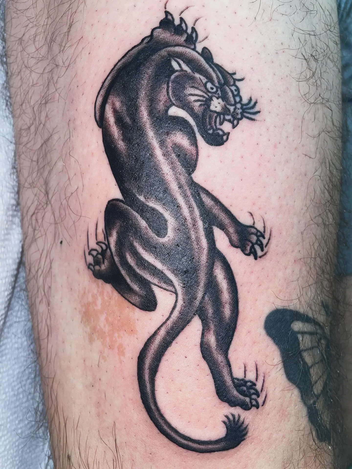 Peppery panther, whirlybird, Berserk
All done recently @riverwesttattooco 💕
DM or call the shop to book