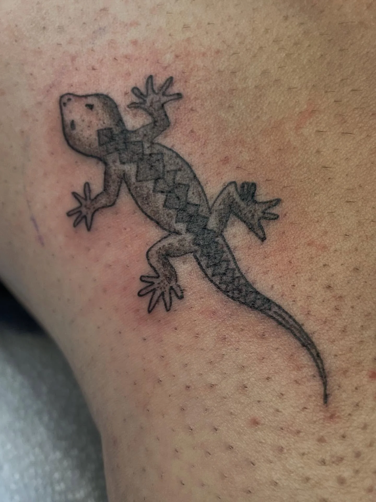 #1&amp;2Fun walk in tonight!!
#3 walk in re-work
Bunch of walk ins I never posted 😝
Last; pretty snow
Earnestly, a million thank yous to all the people who ask to be tattood by me, a million and one thank yous to the people who just show up and sit 