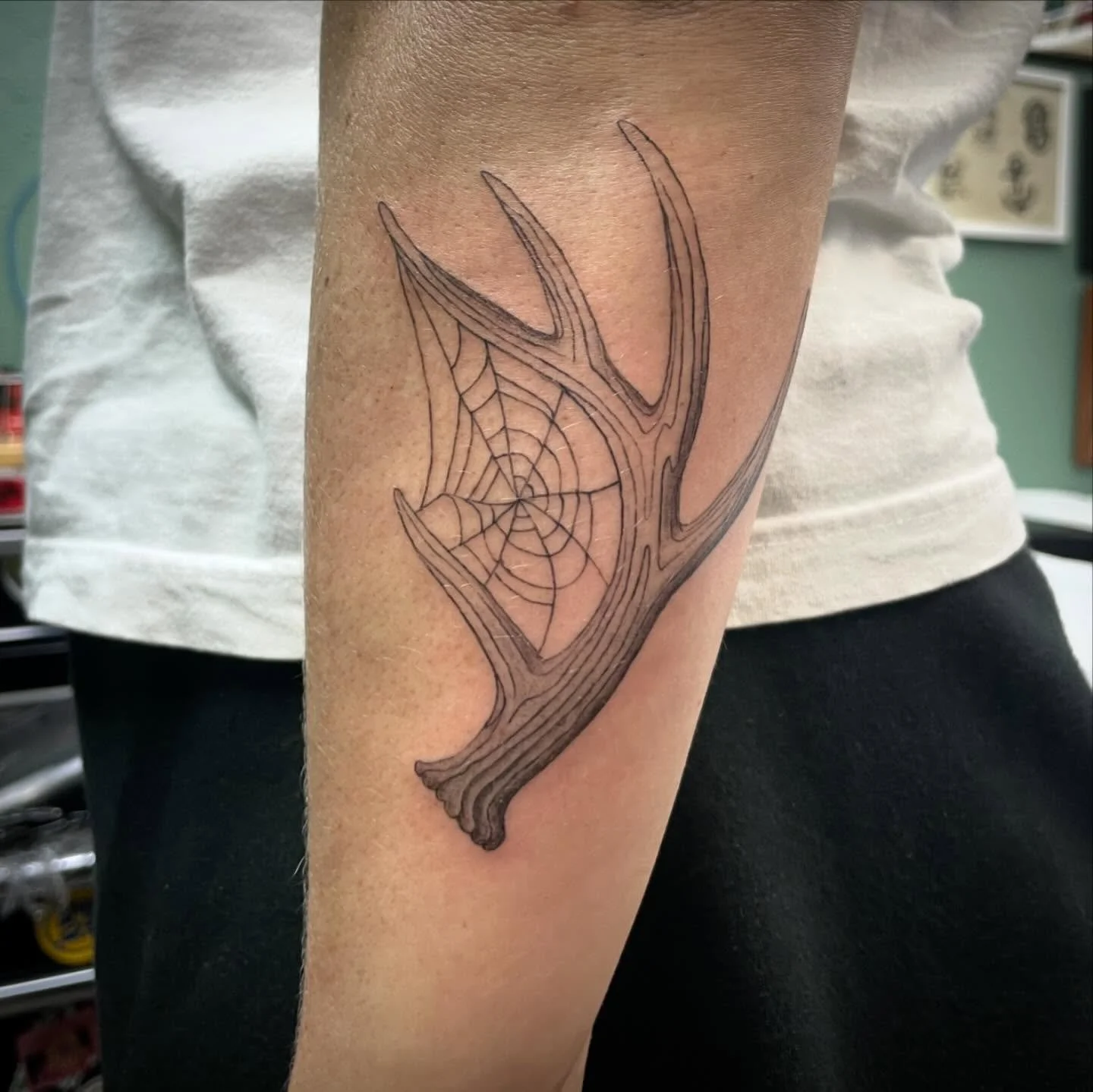 antler from my flash for Hillary 💕 love doing spiderwebby nature designs 💕
.
.
.
.
#tattoo #tattooartist #milwaukeetattoo #milwaukeetattooartist #midwesttattooartist #midwesttattoo #antlertattoo #deertattoo #finelinetattoos