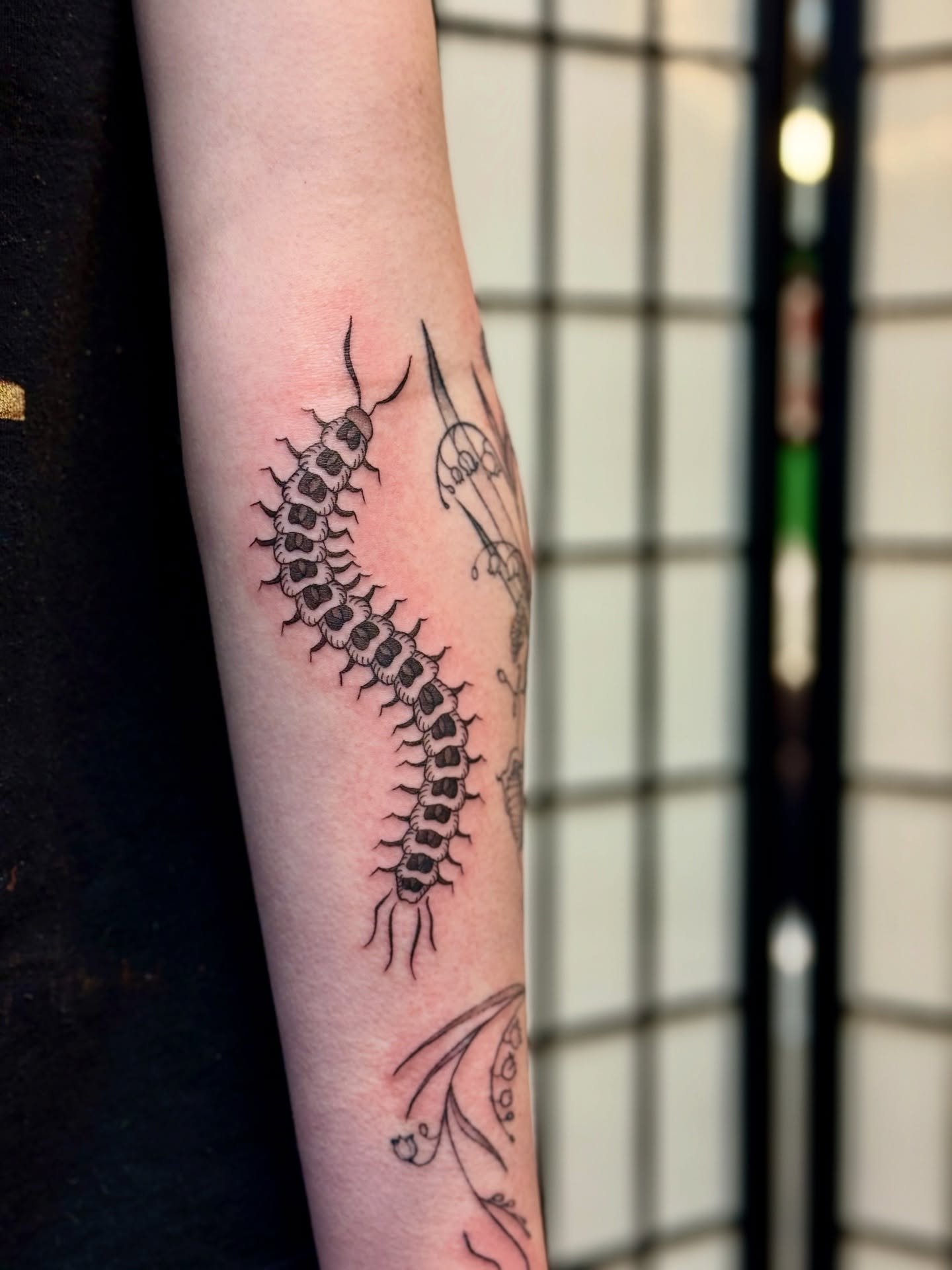 Centipede addition and touchup to Sean&rsquo;s forearm! (the florals are 1 month old) DM me or visit my Venue to book with me! (link in bio) 

.
#tattoo #mketattoo #mke #riverwest #bug