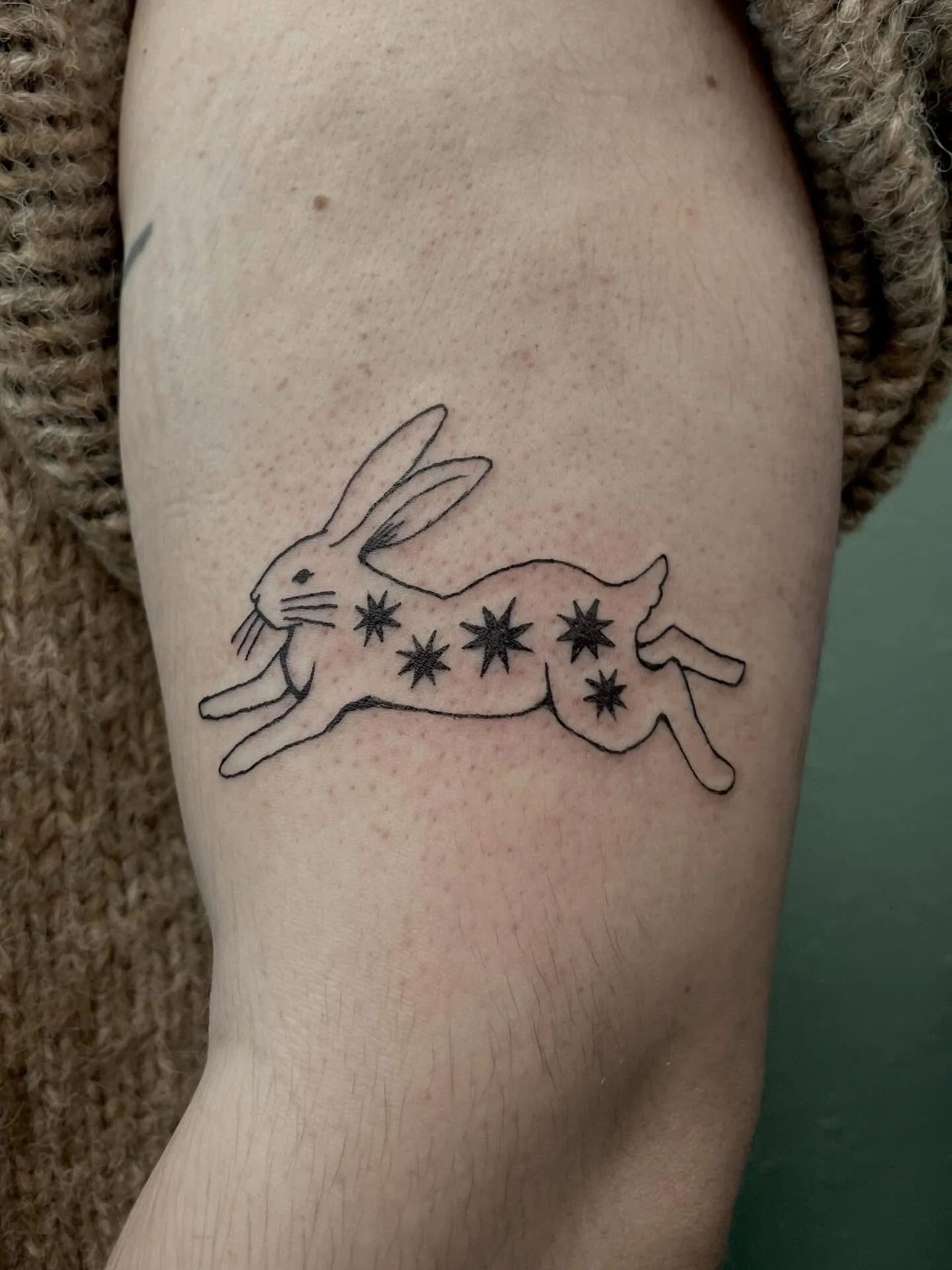 a bunny from my flash with added stars plus a healed tattoo from 1.5 years ago 💖 Thank you Giana! 💖

.
.
#tattooartist #milwaukeetattoo #wisconsintattooartist #bunnytattoo