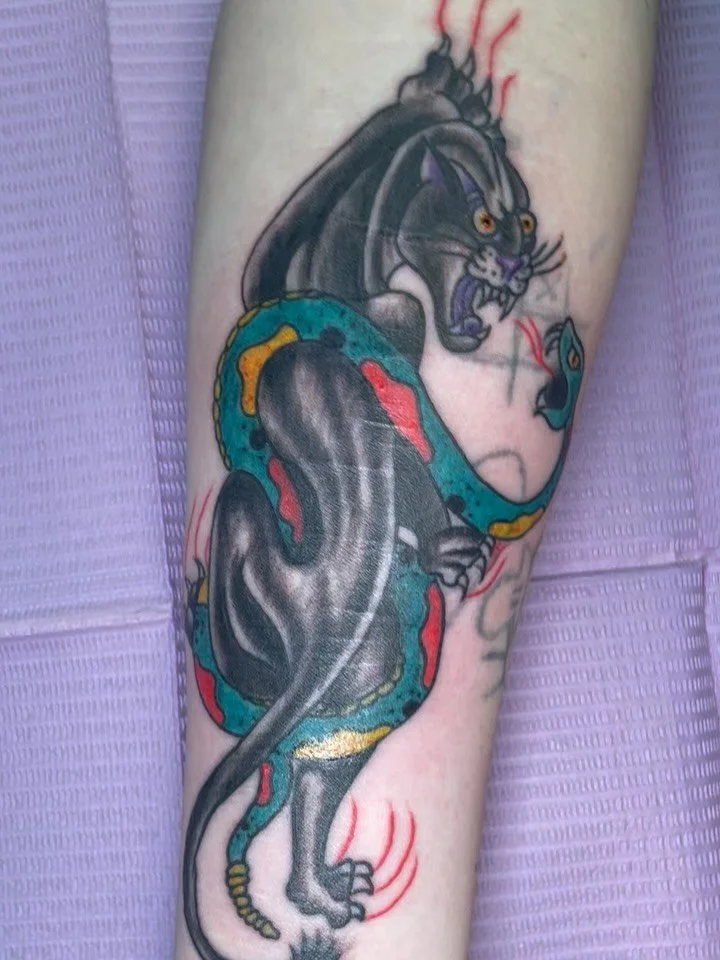 Panther and snake battle, thank you @gudmorningstreak for getting my flash and sitting like a rock! 
Always open to classic or custom American trad!

#coiltattoo #americantraditional #americantraditionaltattoo #milwaukeetattoo #sickasspanther
