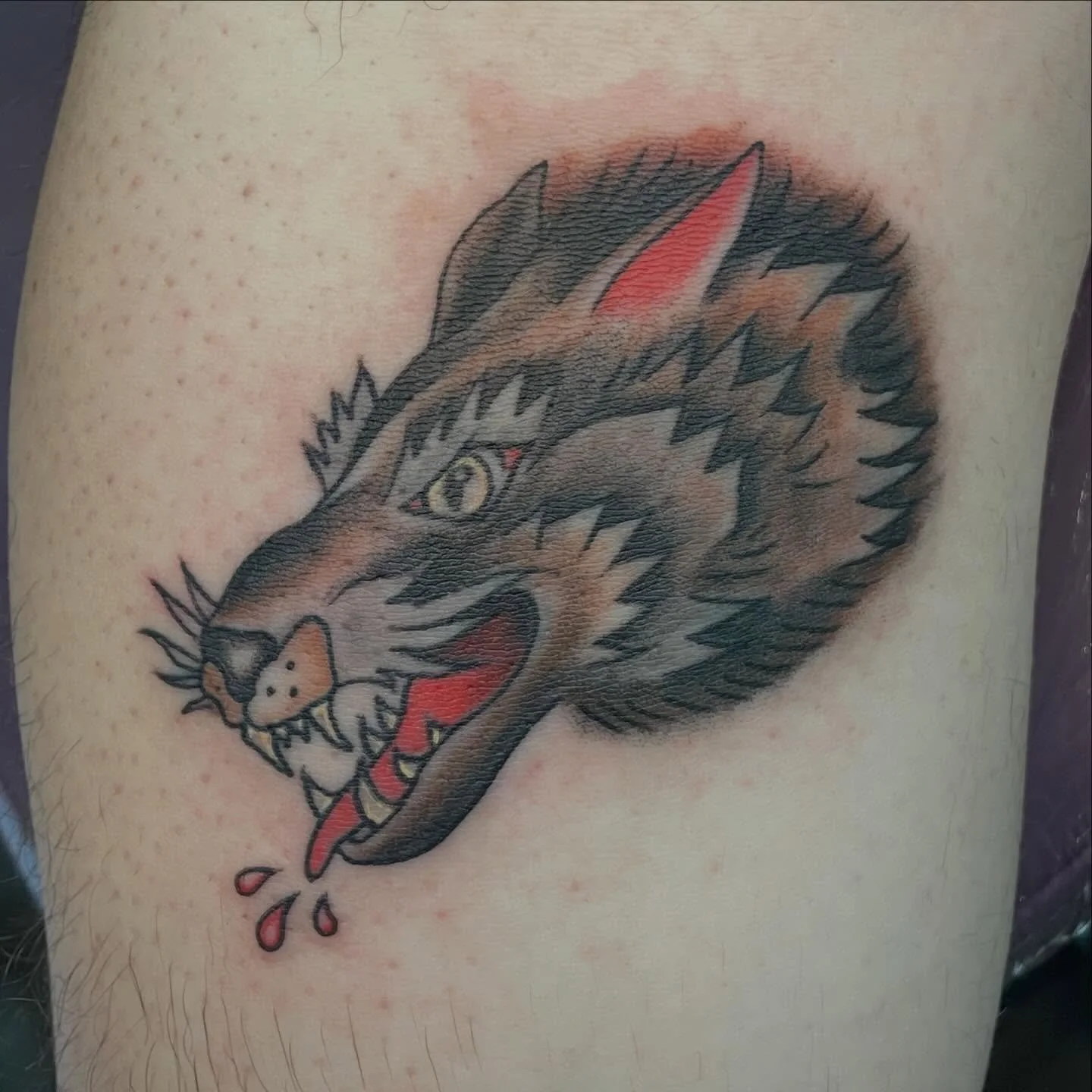 Made yesterday. Thank you Alex and Cait for the trust! 
ALWAYS BOOKING. DM or email in bio 💕

Made with @niceneedleco @royalcraftdispatch @chromatattooink