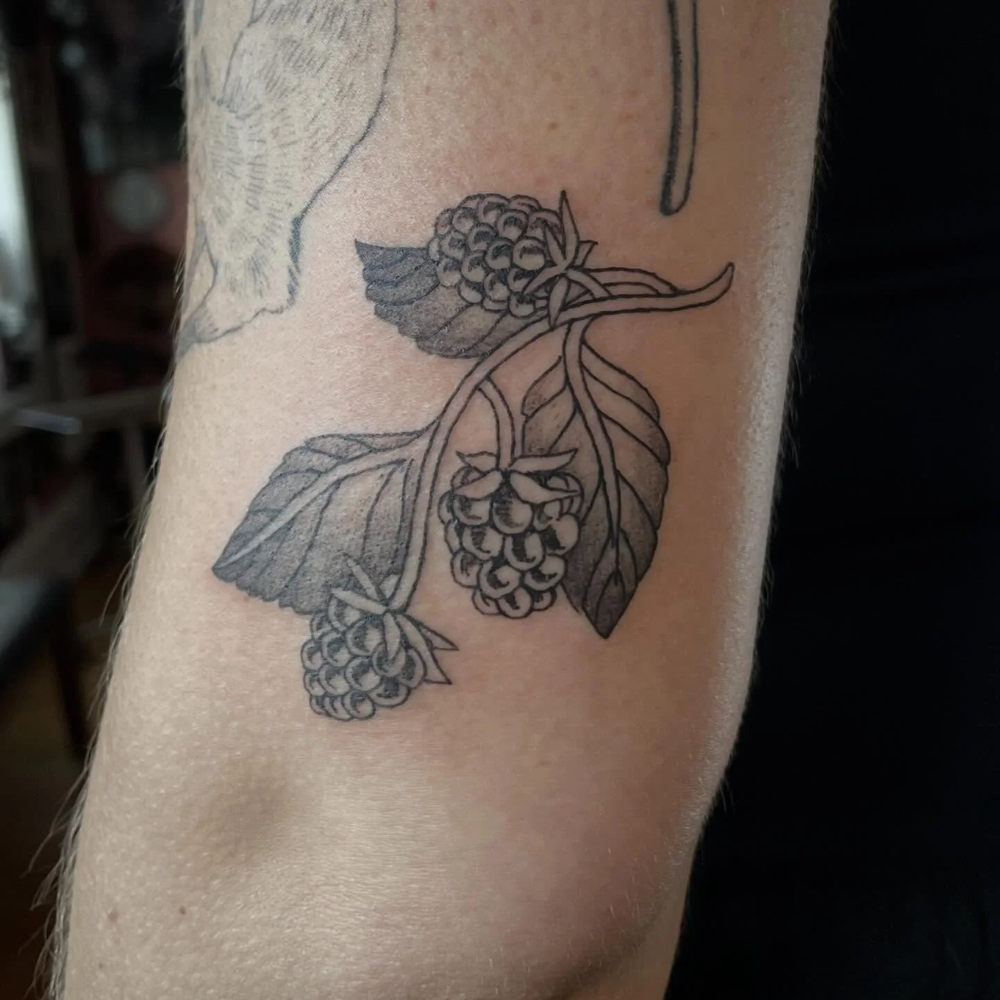 berries for Leah 💖 ty Leah!
.
.
.
.
#milwaukeetattooartist #milwaukeetattoo #berrytattoo #floraltattoo #fruittattoo