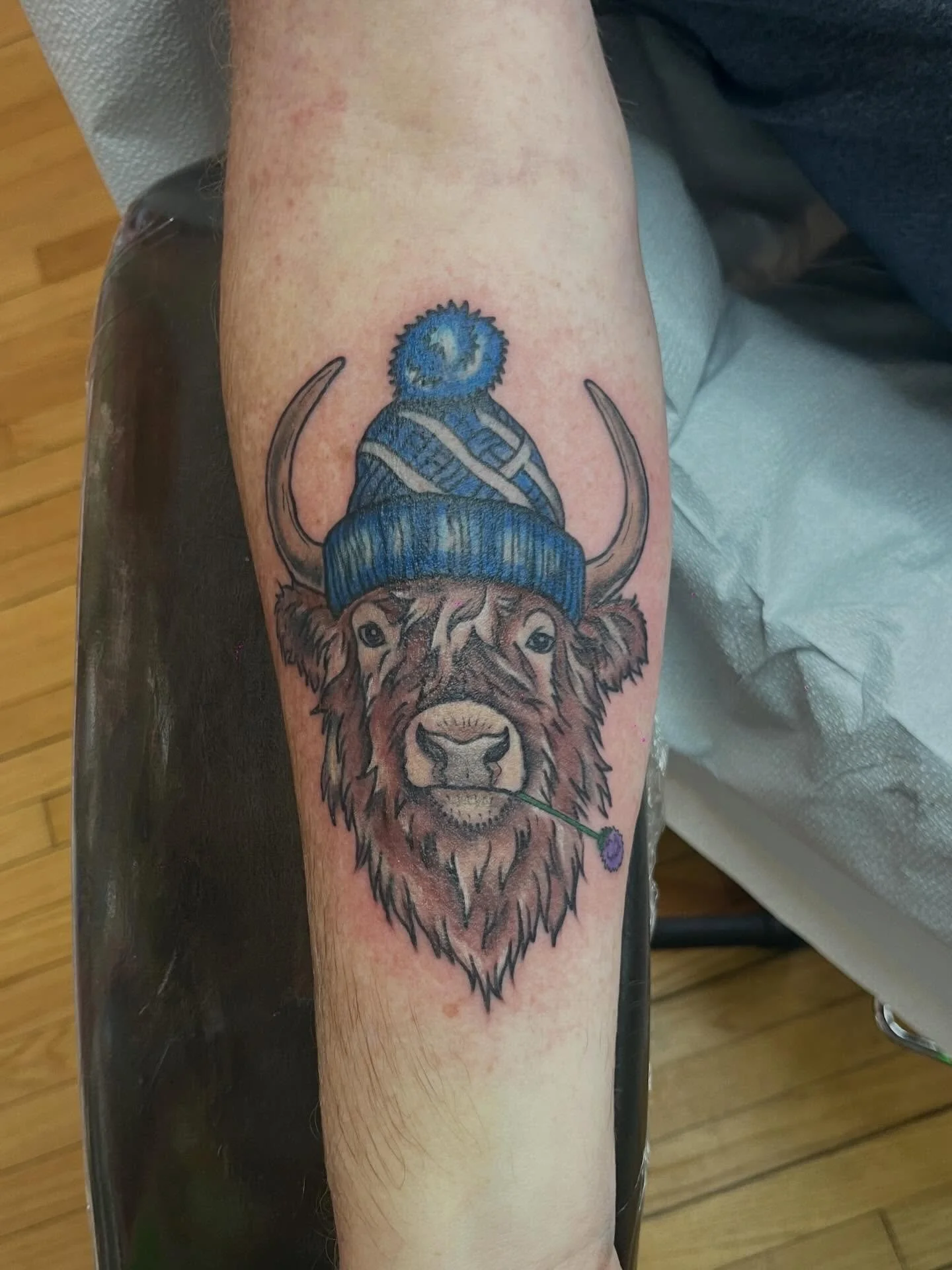 Scottish Highland! #scottish #scottland #highlandcowsofinstagram