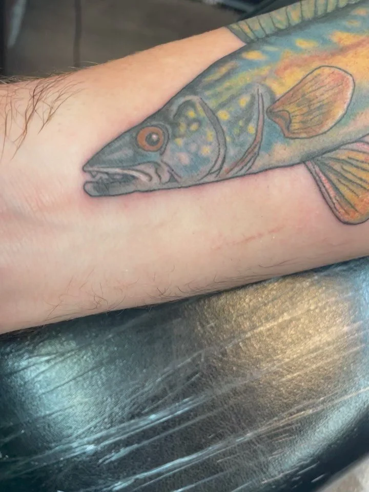 Whew! One of my oldest buddy brothers I grew up with in ol La Farge blessed me with his presence and we did this bangin walleye tattoo and I couldn&rsquo;t be more pleased with how it turned out. We also started the day out blasting some of the chapt