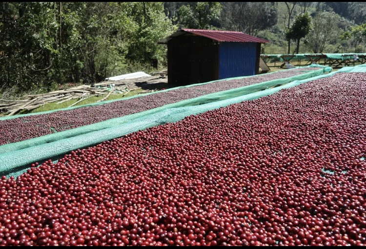 8984FCB8-F4CA-49E3-9A0C-8CF47CF75DBE