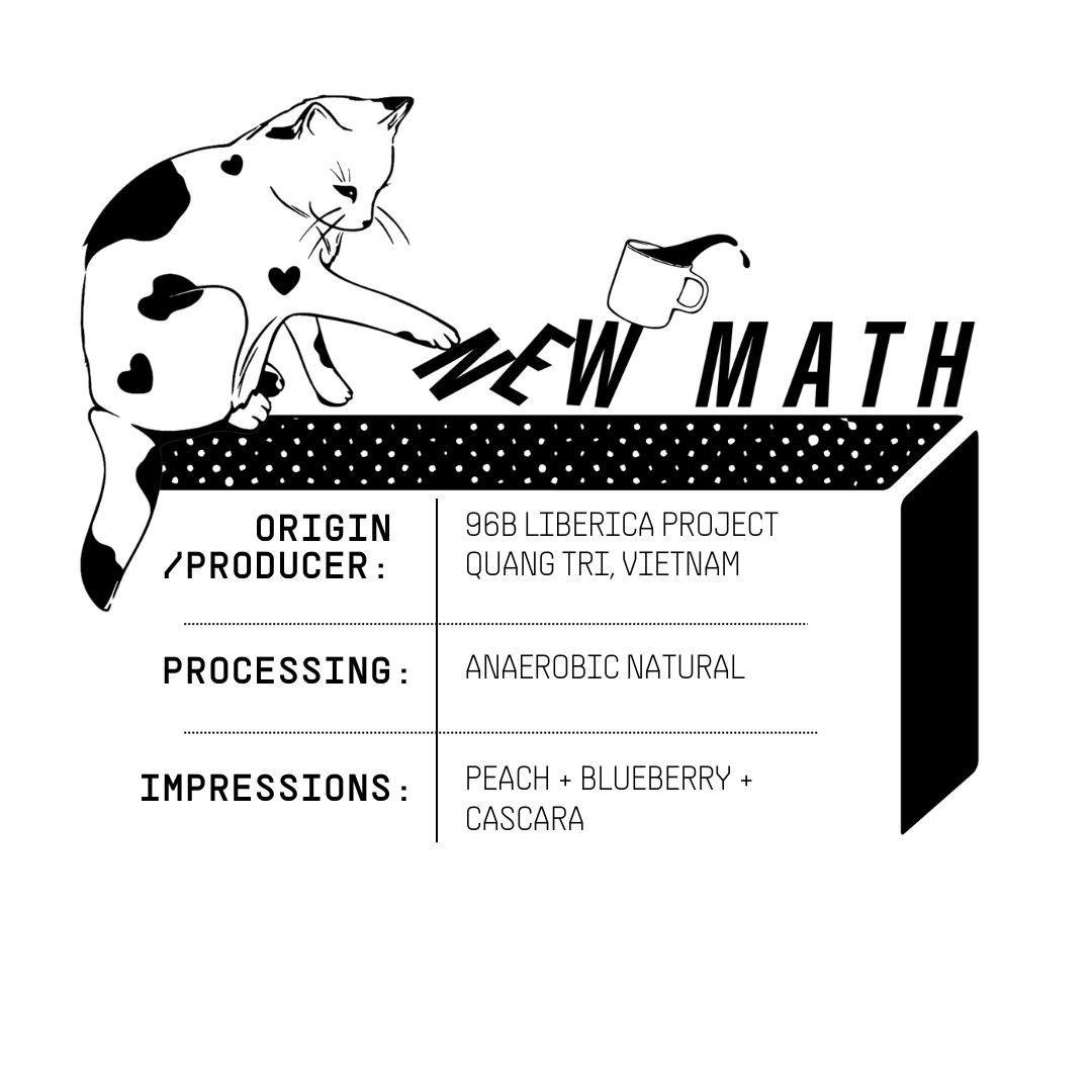 96B Liberica Project Anaerobic Natural