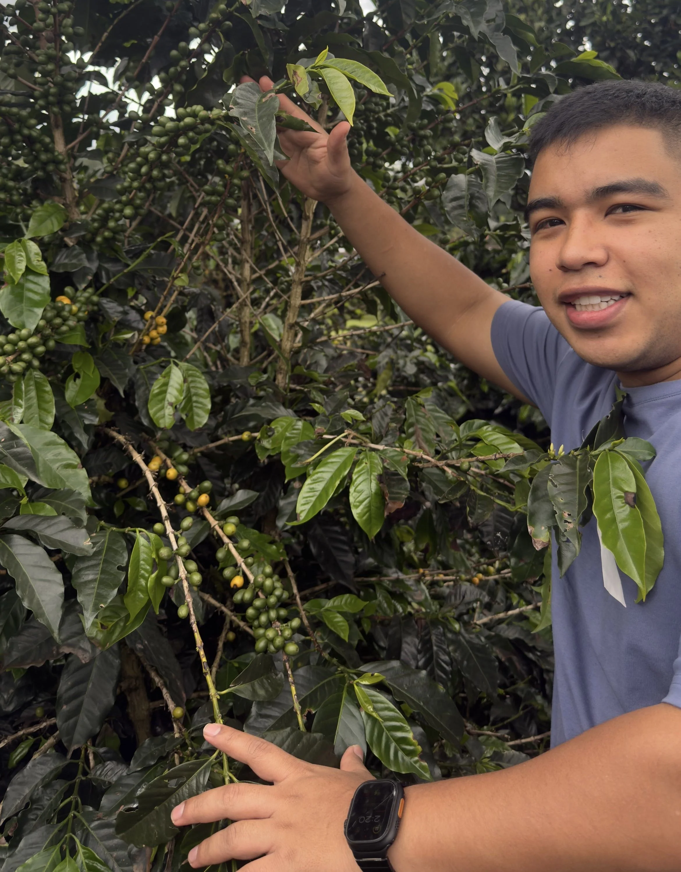 WhatsApp Image 2025-03-10 at 15.43.46.jpeg