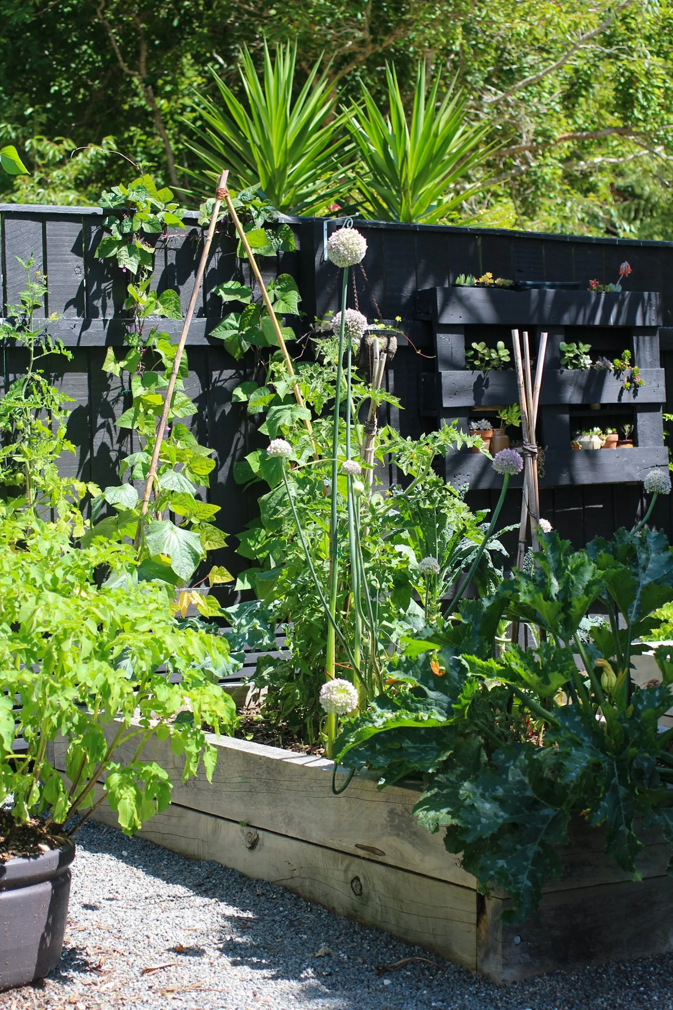 How to Build a Raised Garden Bed — Sage Journal