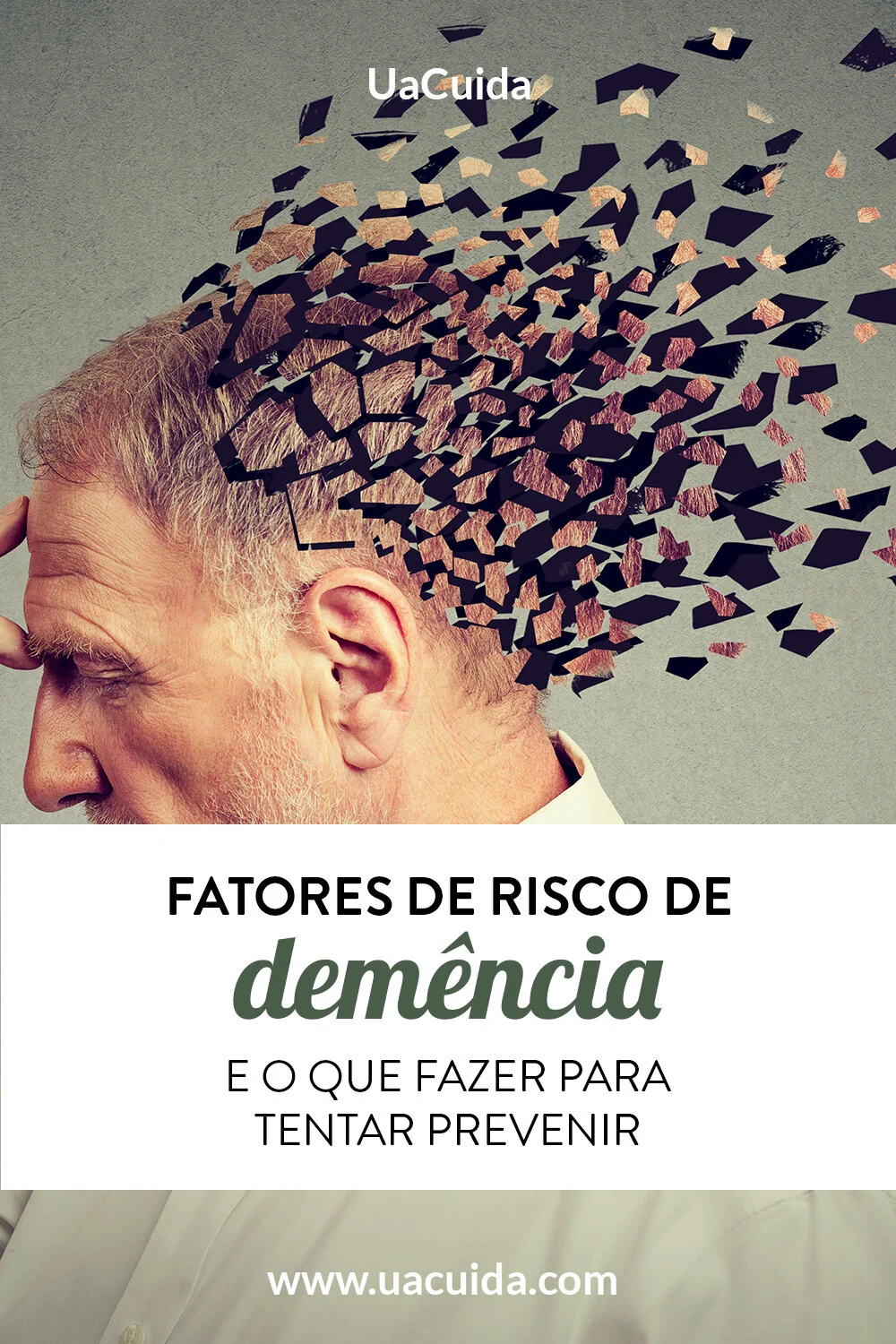 PIN_UACUIDA_FATORES_RISCO_DEMENCIA.jpg
