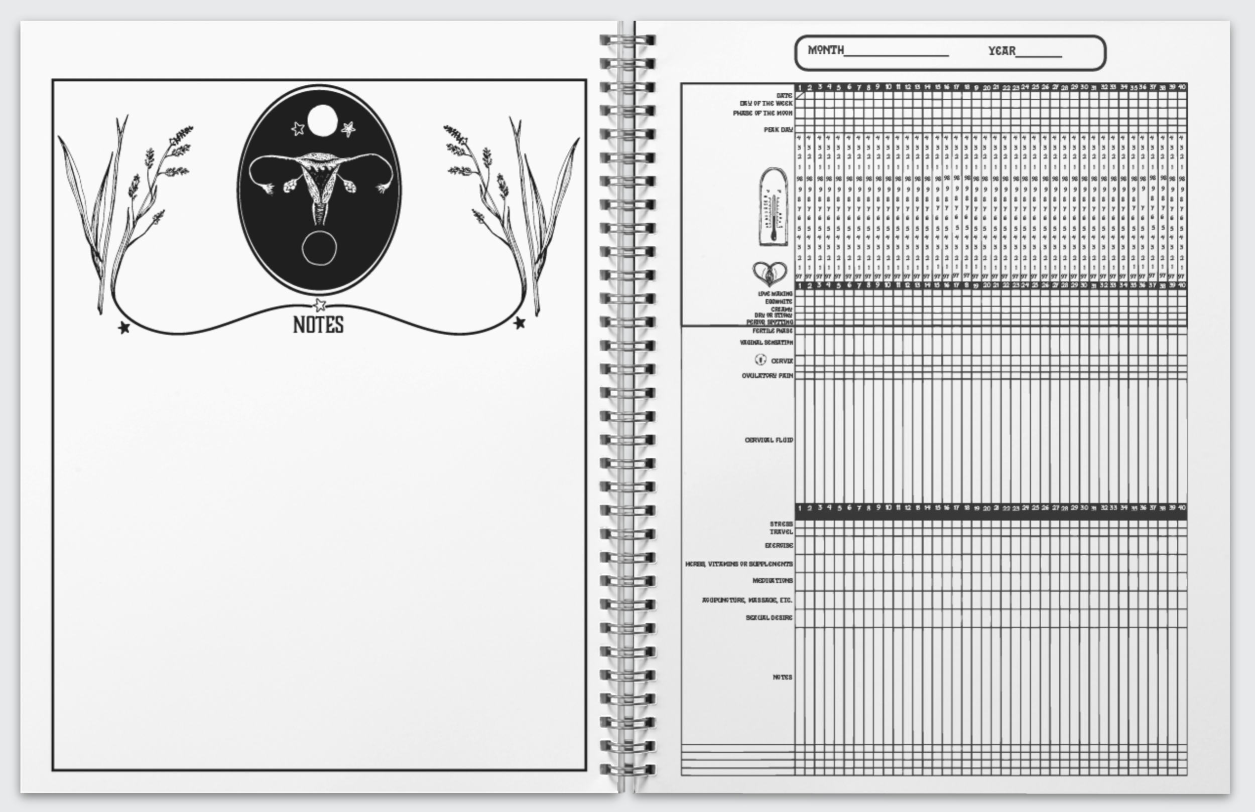 Screen Shot 2020-04-22 at 11.29.46 AM.png