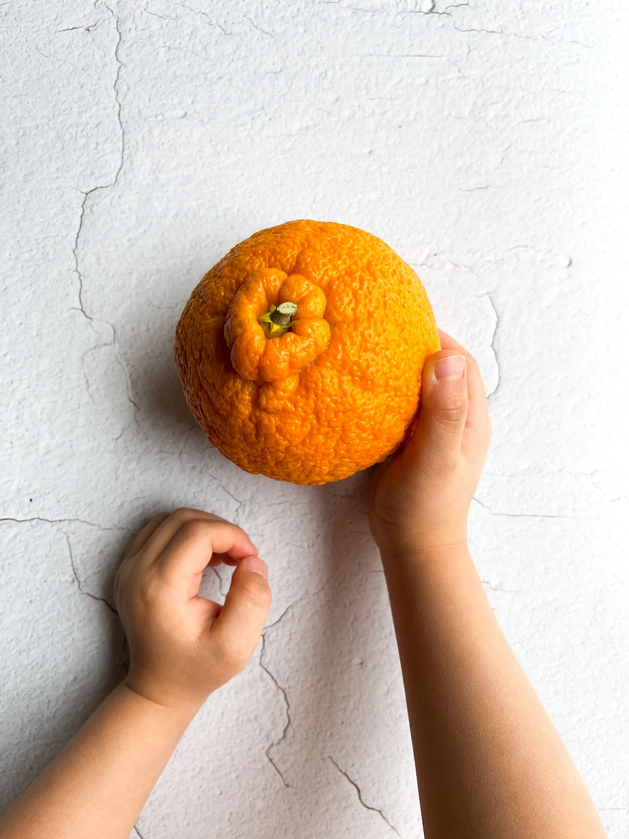 Chef Tip: How to Store Orange & Other Citrus