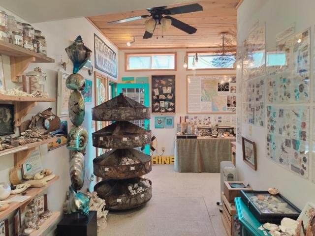 Seashell Museum (3).jpeg