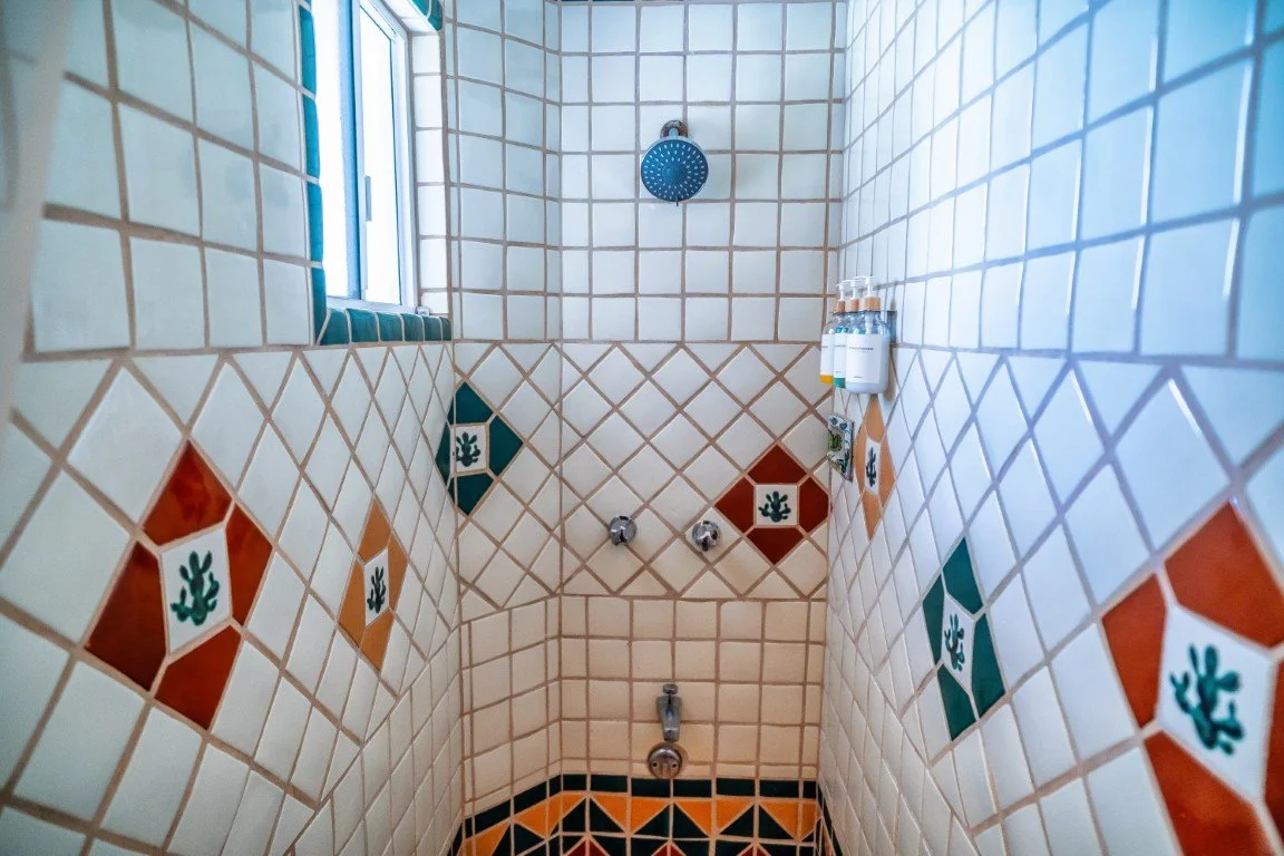 Ground floor guest bathroom (3).jpeg