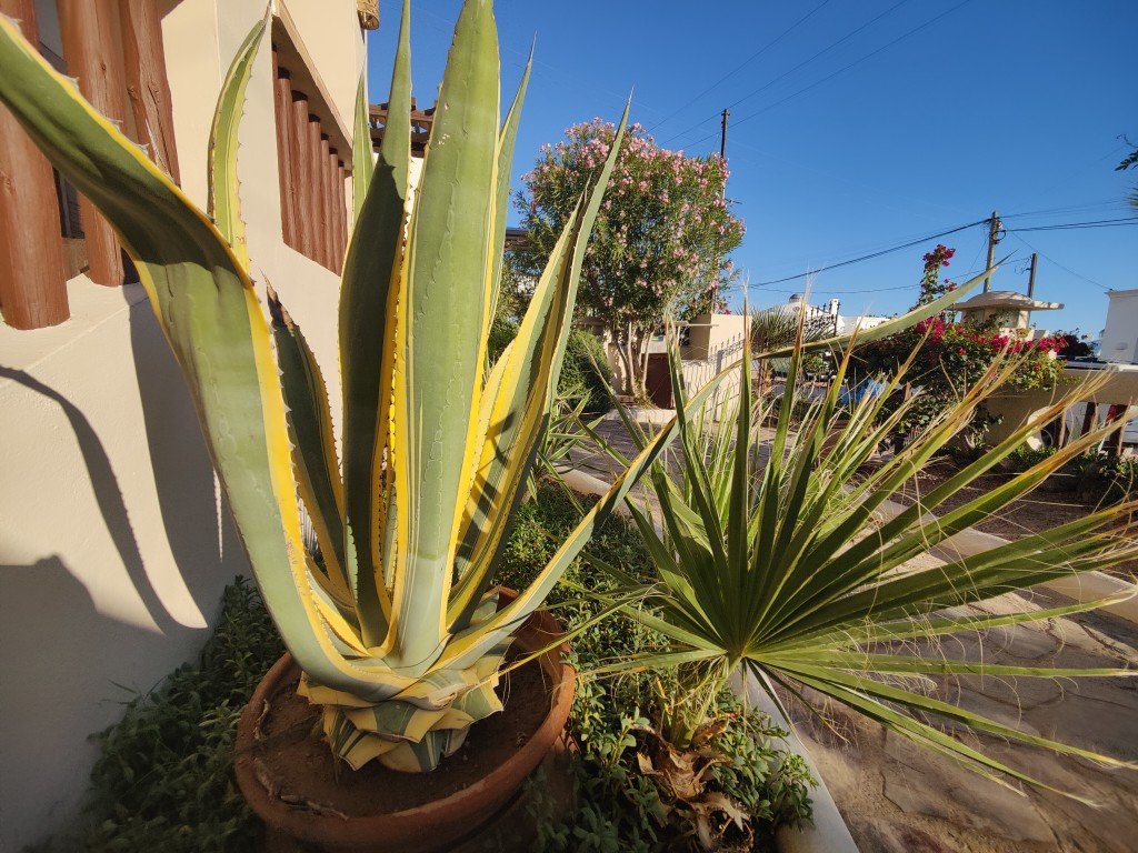 outdoors front (10).jpg