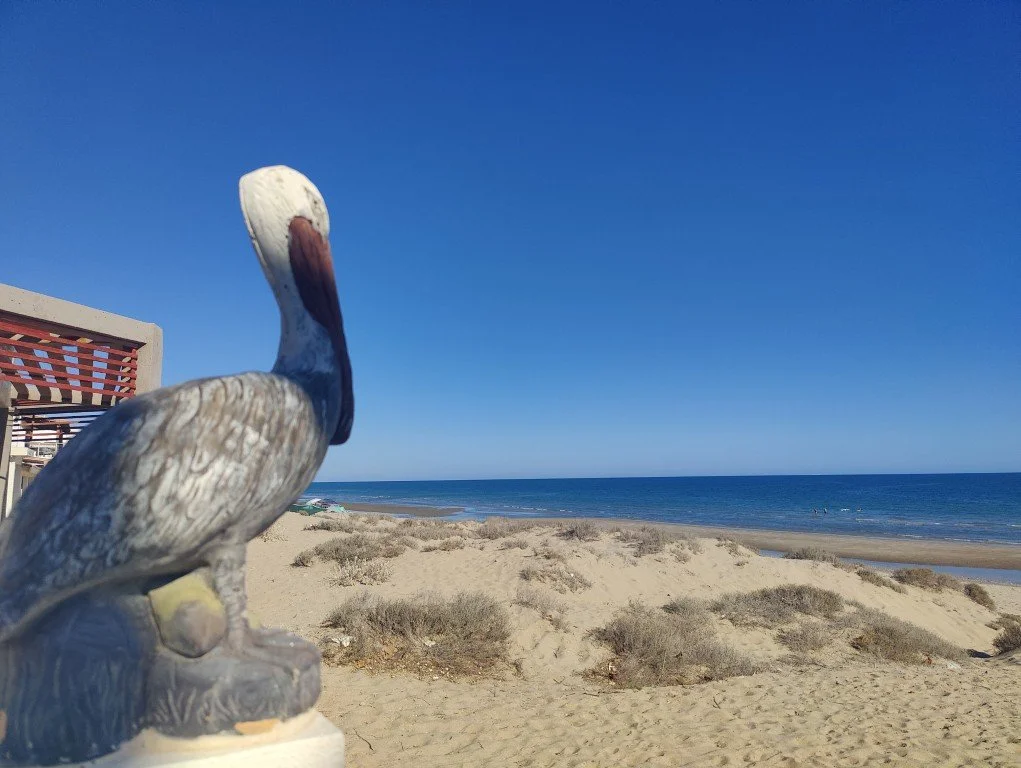 Puerto Peñasco (7).jpg