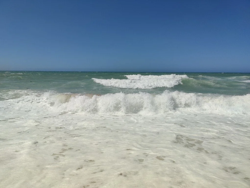 Puerto Peñasco (13).jpg