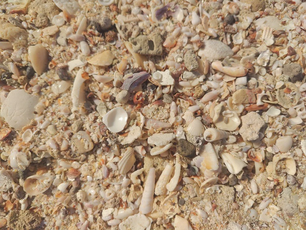 Puerto Peñasco (52).jpg