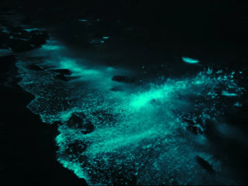 Puerto Peñasco (91).jpg