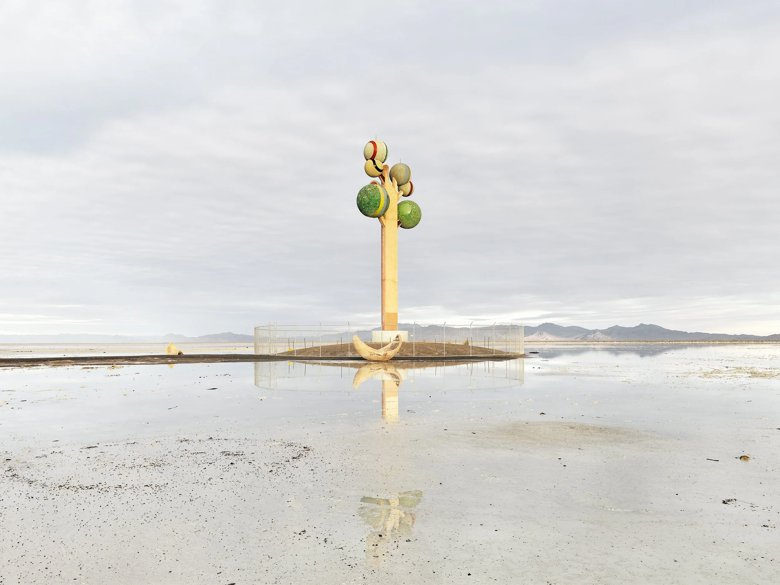 The Tree of Life in Utah, by artist Karl Momen, part of the Lost America series; a multi-award-winning image and finalist at the Belfast Photo Festival.