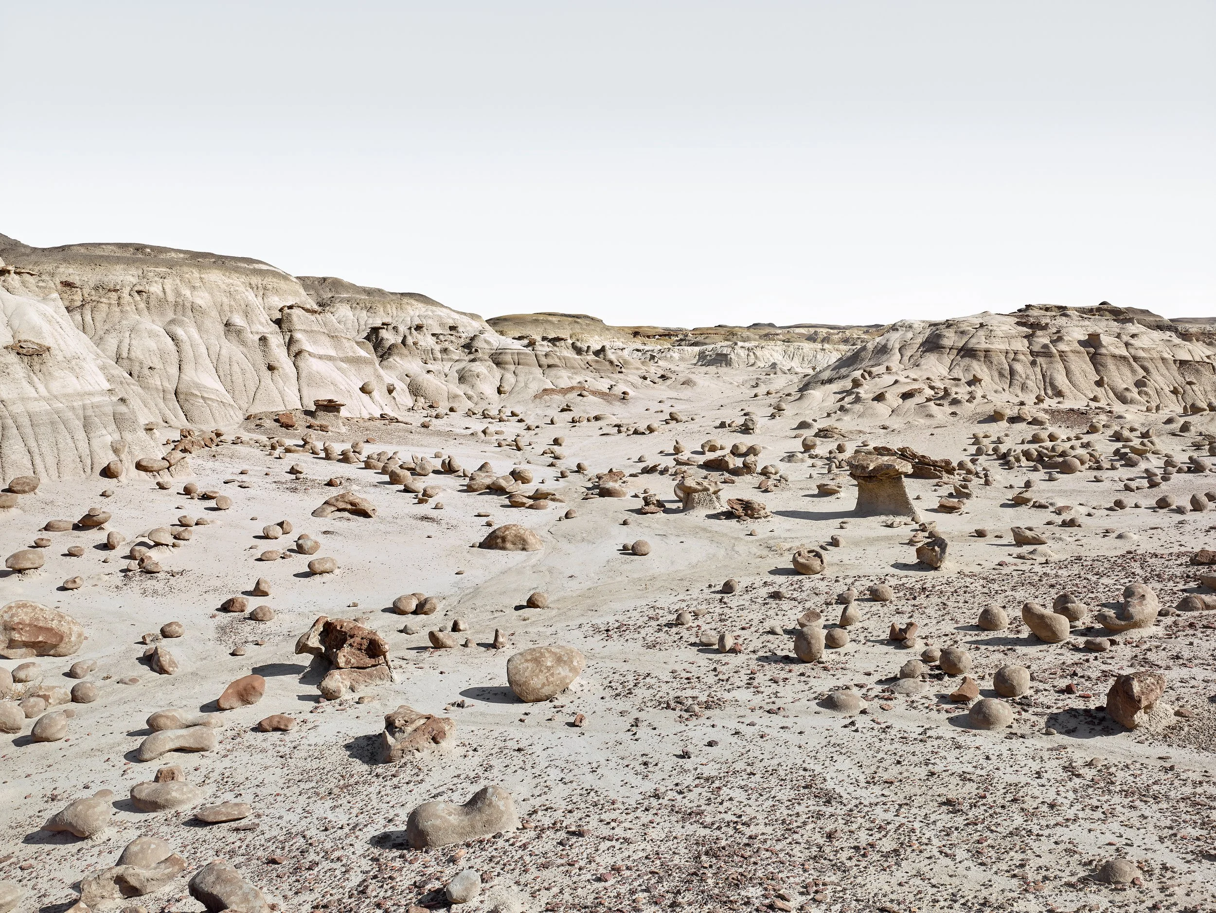 Rock Garden, Bisti, NM.jpg