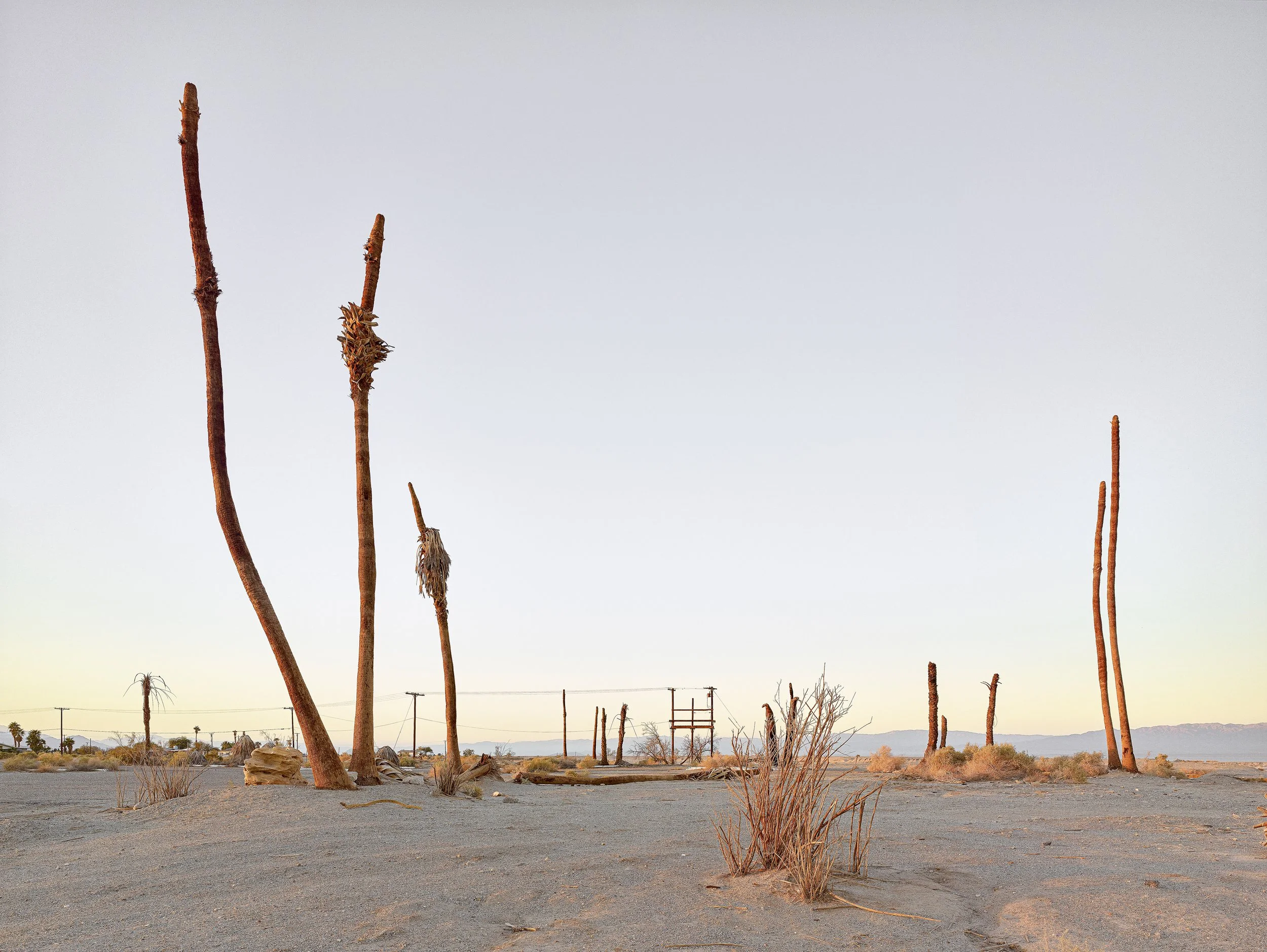 Twin Palms at Desert Shores.jpg