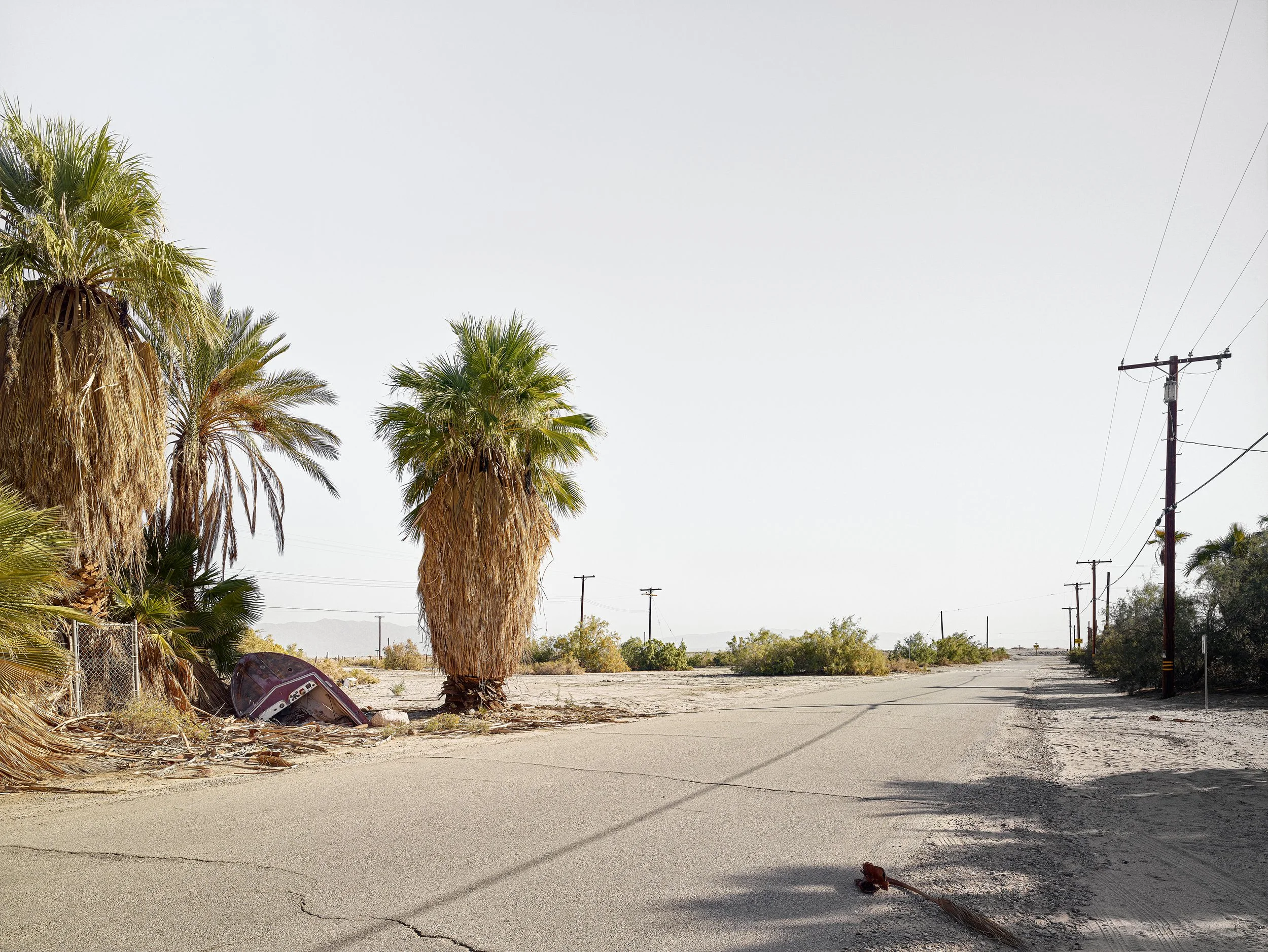 Half Boat And Palms.jpg