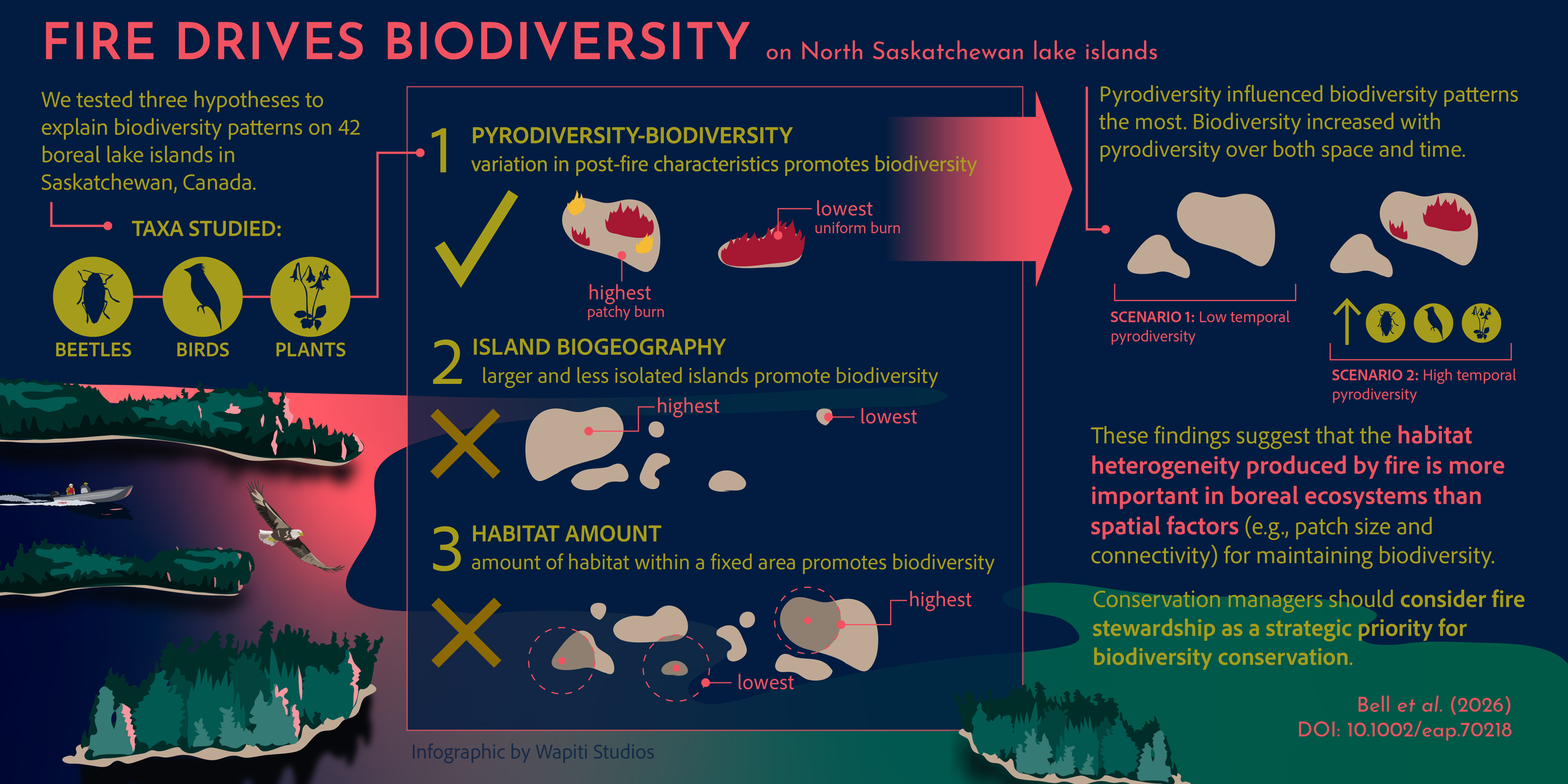 2026-02 Pyrodiversity Visual Abstract_V04.png