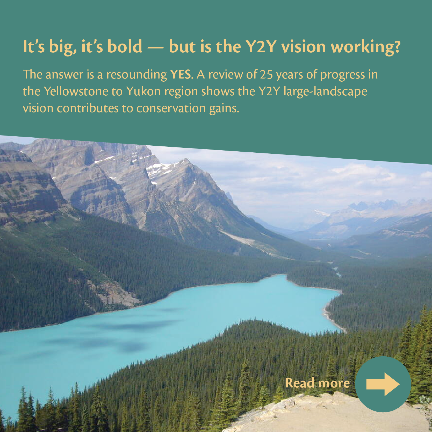 Y2Y_25YearInfographic_SocialPanels_IG-01.png