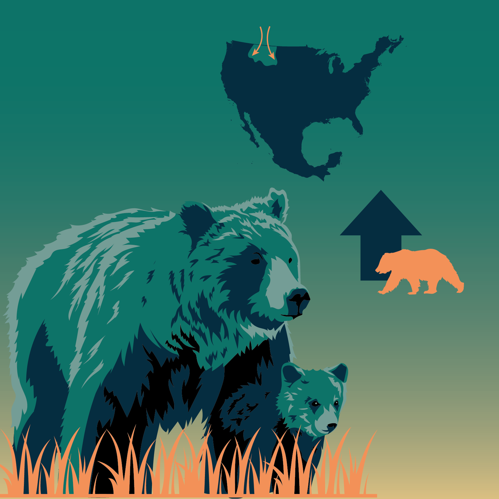 25 Years of the Yellowstone to Yukon Conservation Vision