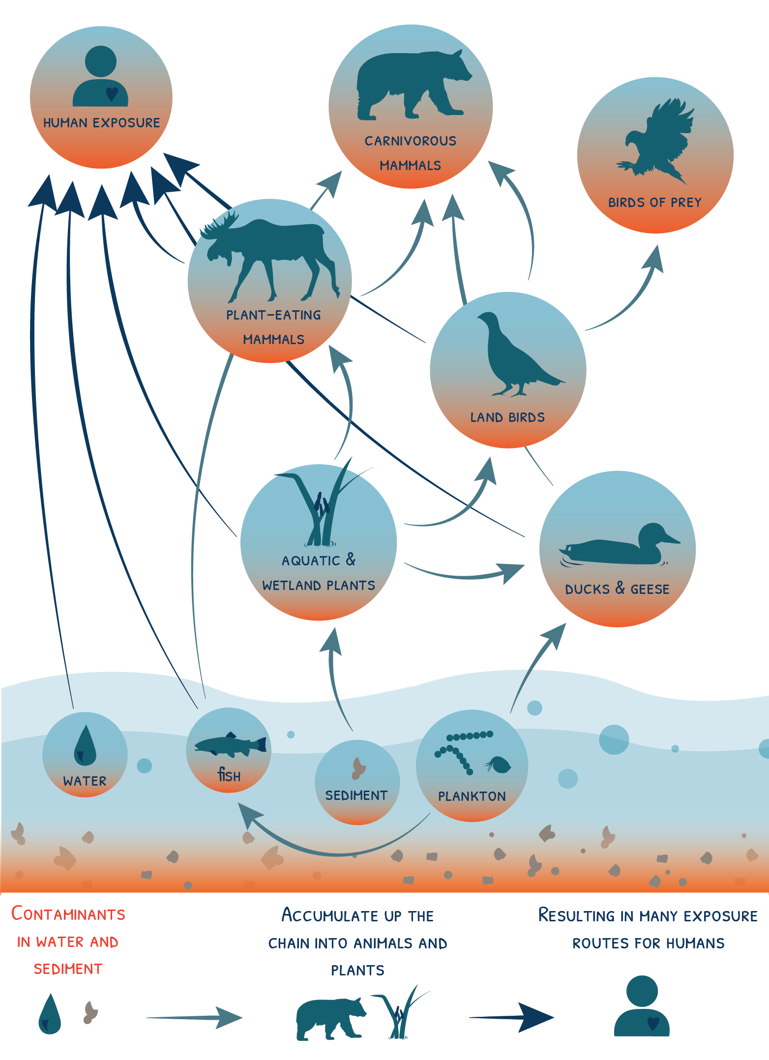 Water Quality Criteria for Indigenous Use