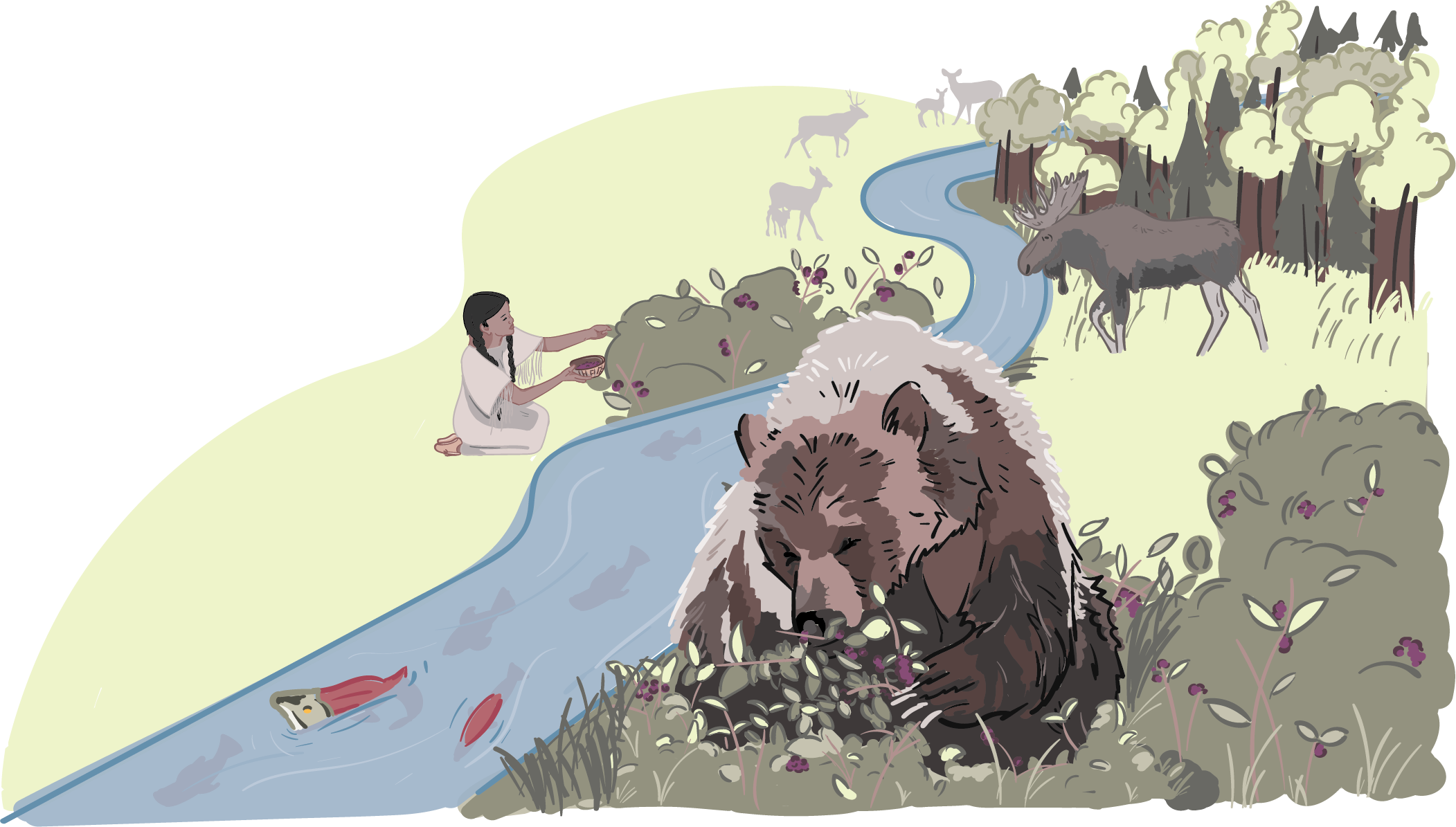 Joint Nations Grizzly Bear Initiative Communication Materials