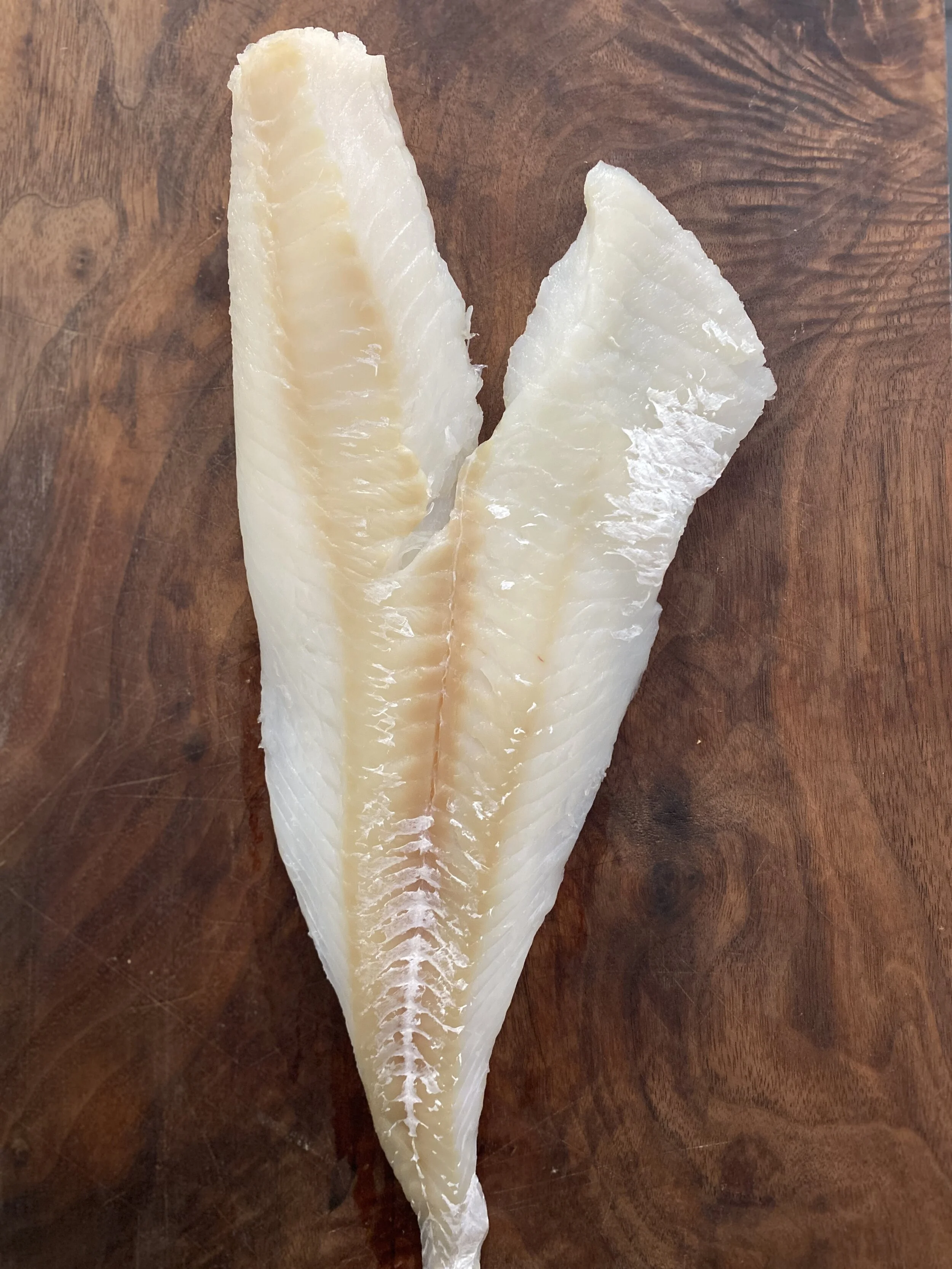 Fresh Nova Scotia Cod