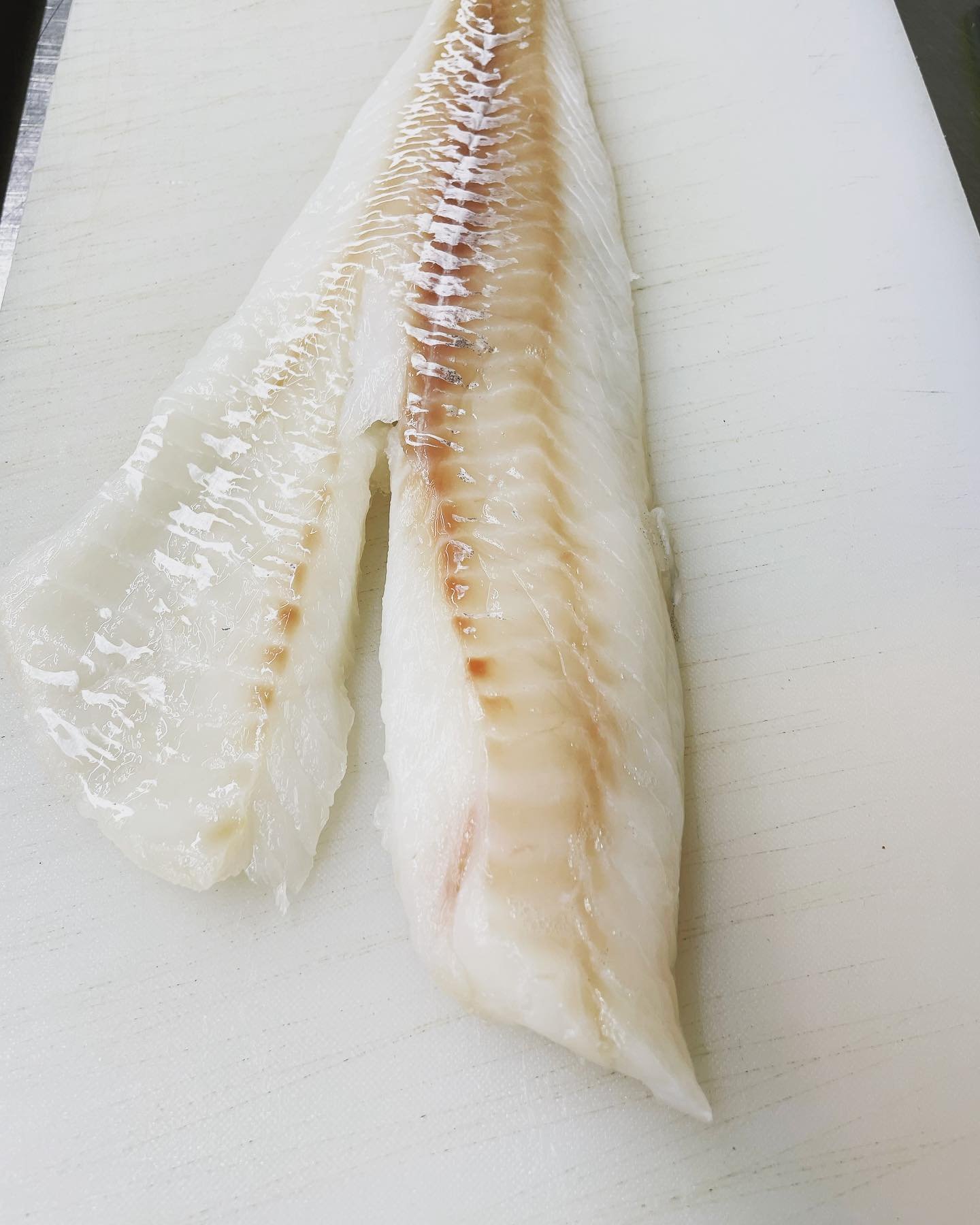 Morue frais par la nouvelle ecosse arrive cette matin
⠀
Fresh cod in this morning from Nova Scotia
⠀
#novascotiacod #cod #freshfish #fishmarket #fishshop #specialtygrocer #codsausages #smokedfish #boucanerie #chelseafood #quebectreats #chelseamustsee