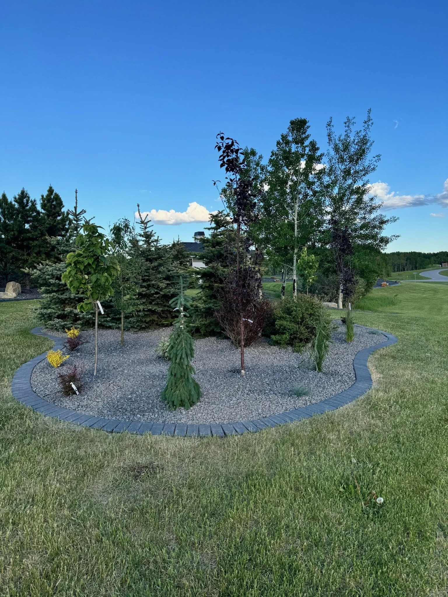 Rundle garden bed with planting and brick border.