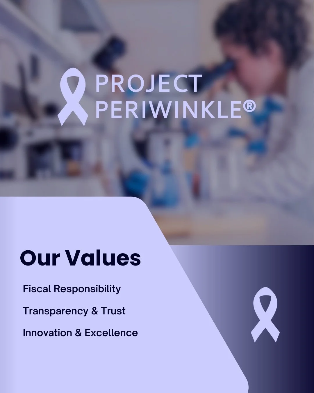Since Day 1, Project Periwinkle has been on a mission to fund stomach cancer research and to do so differently.  From being a 100% volunteer based nonprofit, to following our funding well after a check presentation and giving those who made it all po