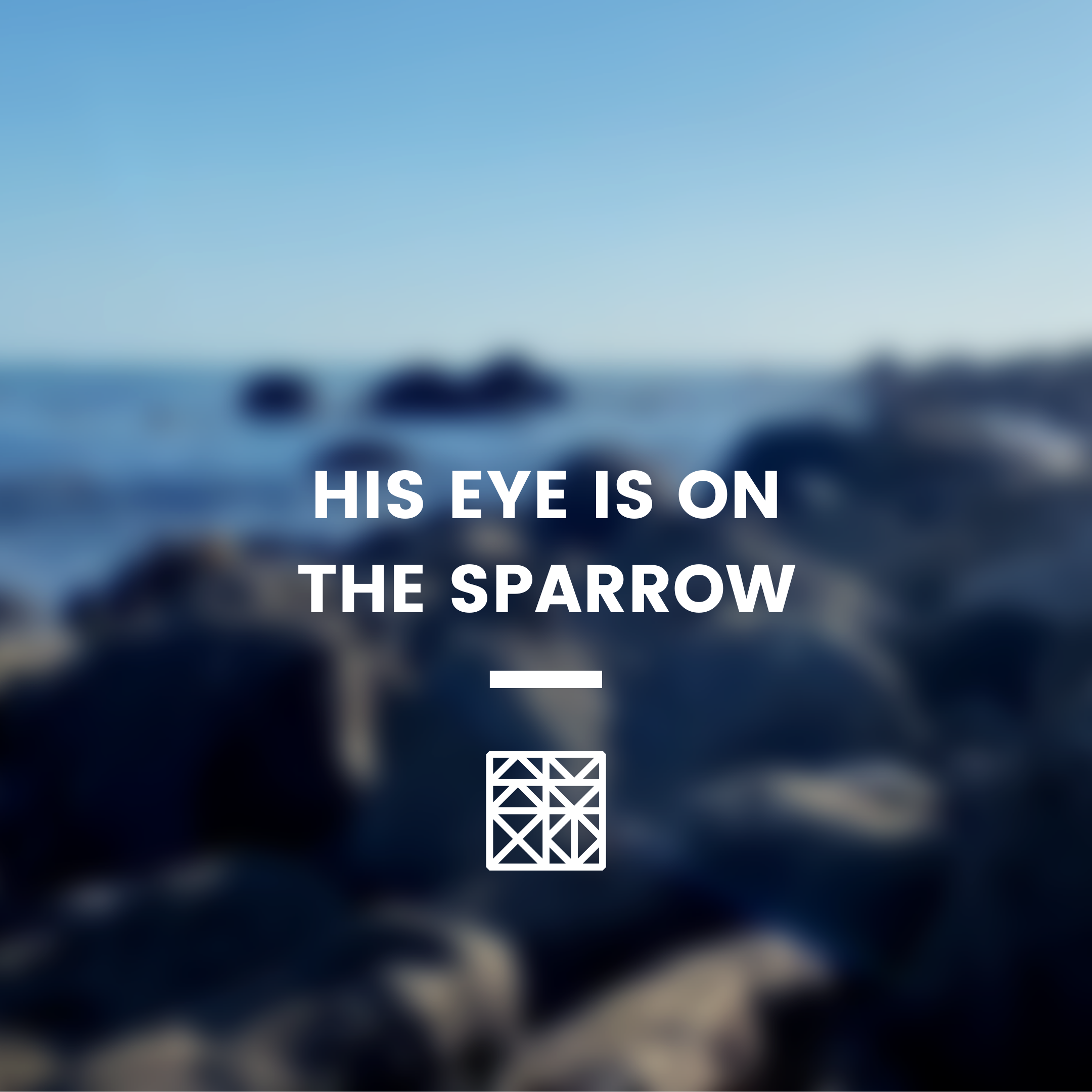 1 SAMUEL 1 - HIS EYE IS ON THE SPARROW